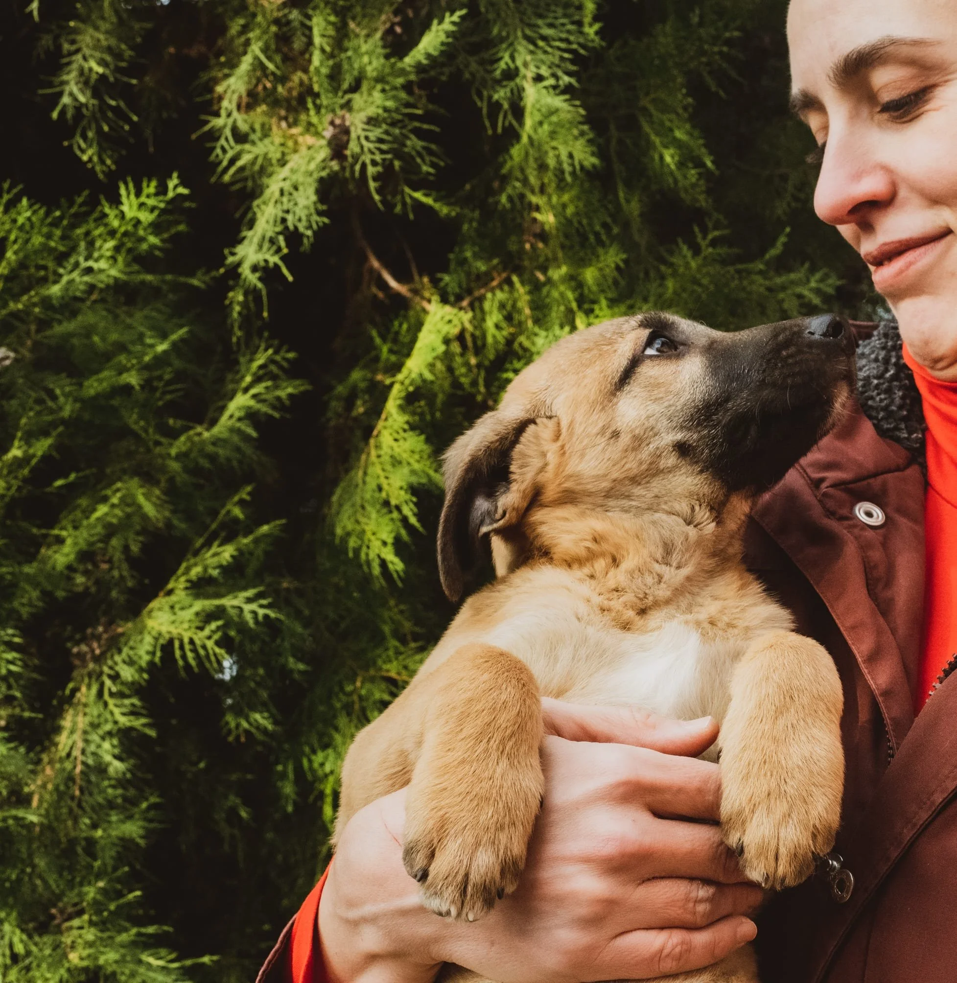 Person holding a puppy outdoors with green foliage in the background.