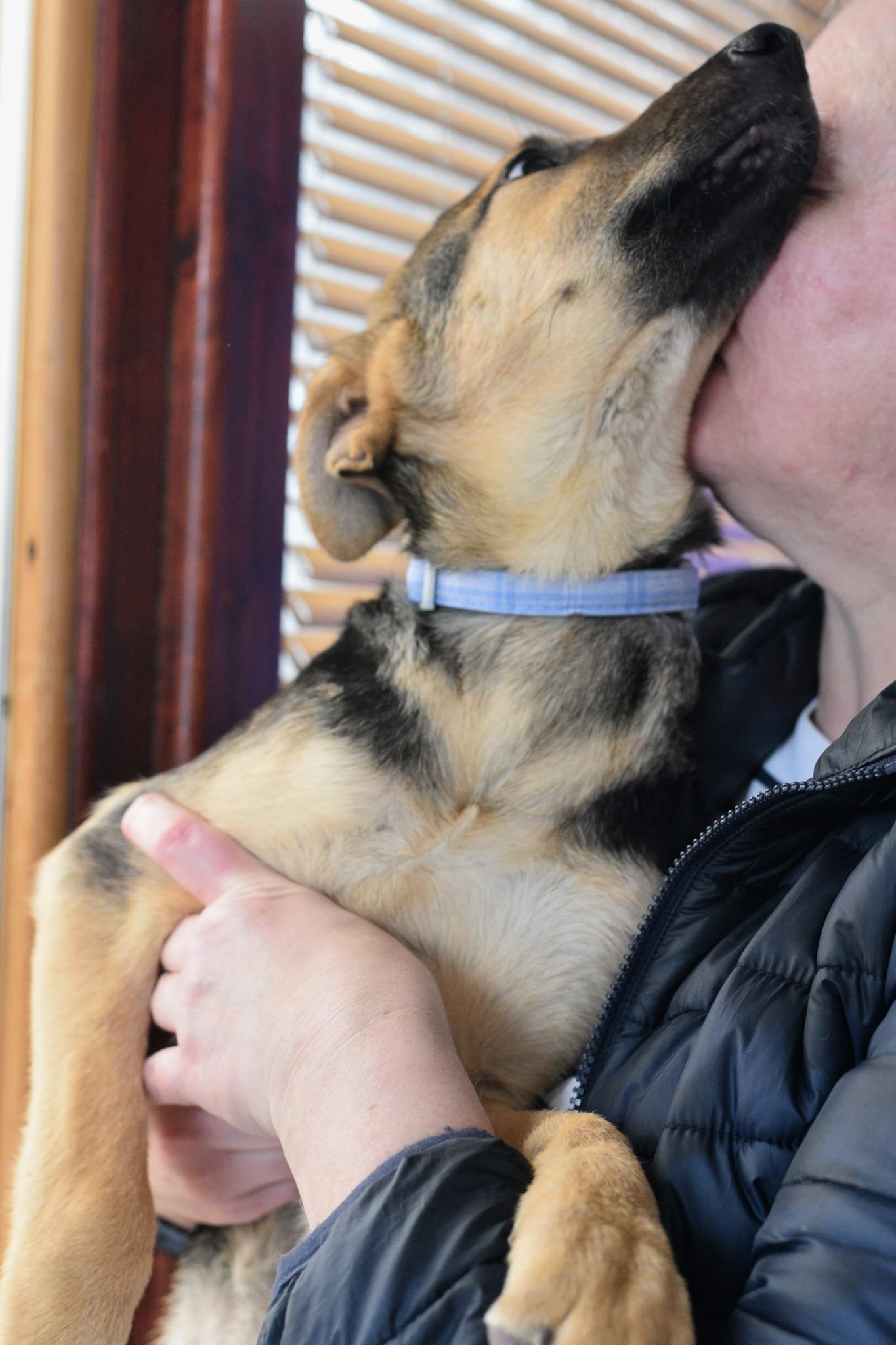 A person holding a puppy while the puppy kisses their face.