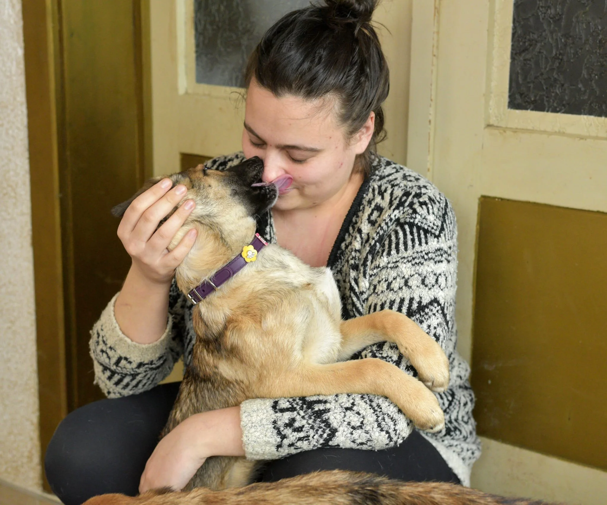 A woman is sitting on the floor holding a small dog, which is licking her face.