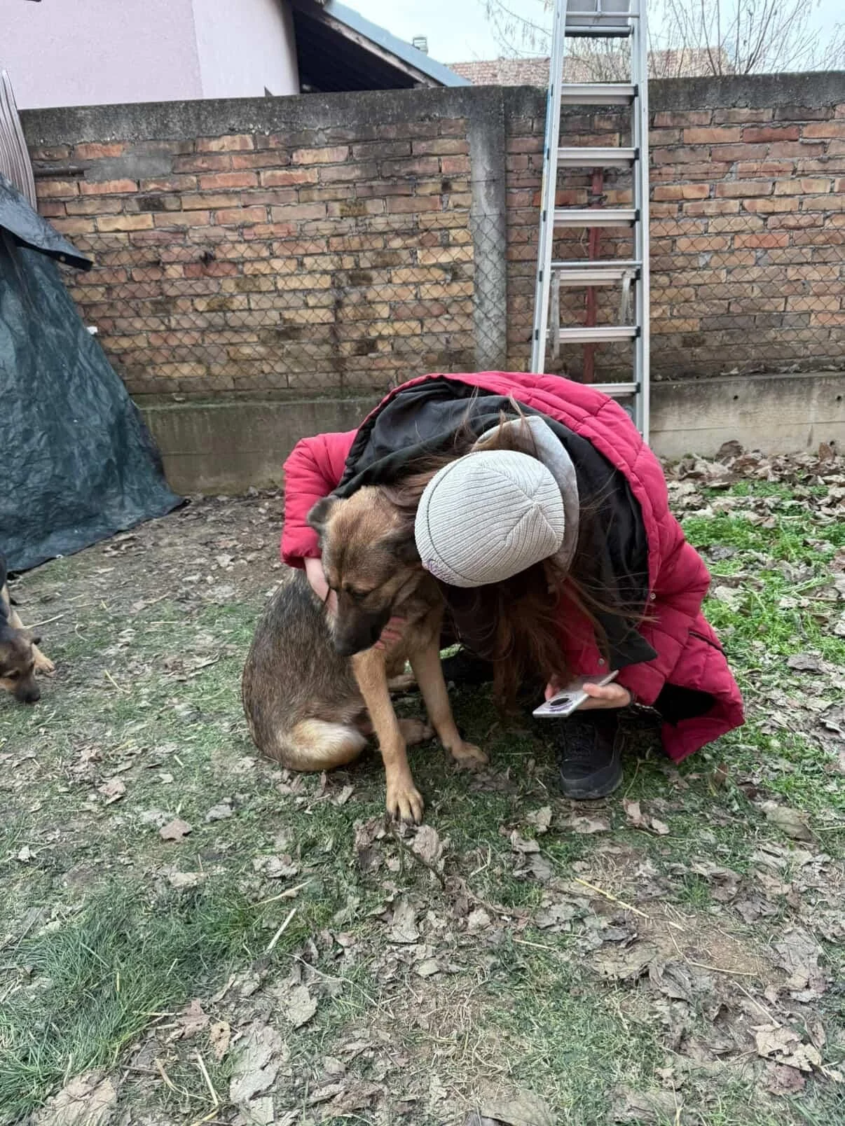 A woman in a red jacket and beanie hugging a brown dog in a backyard with a brick wall and ladder in the background.