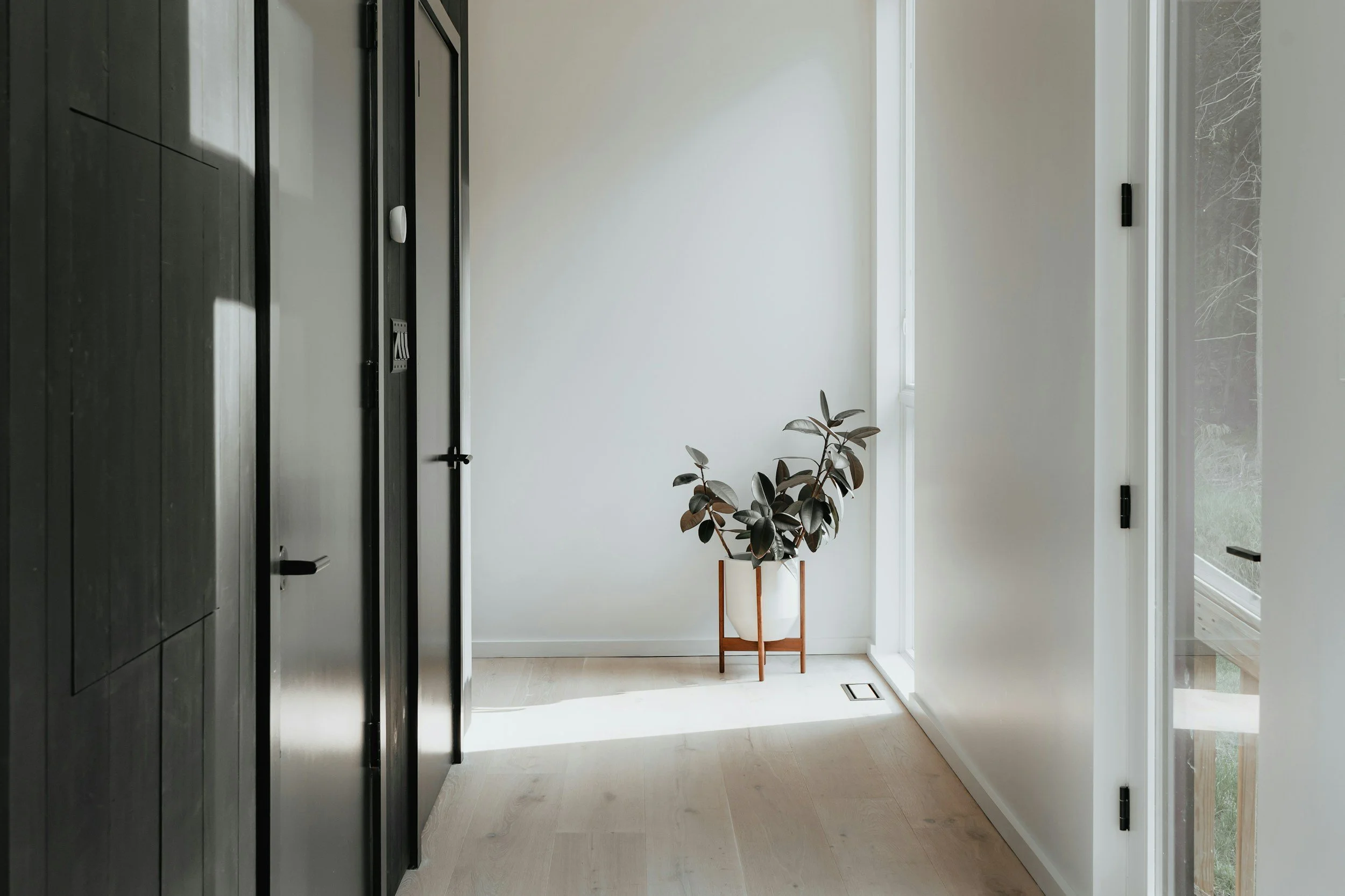 azra painting (pre-sale hallway)