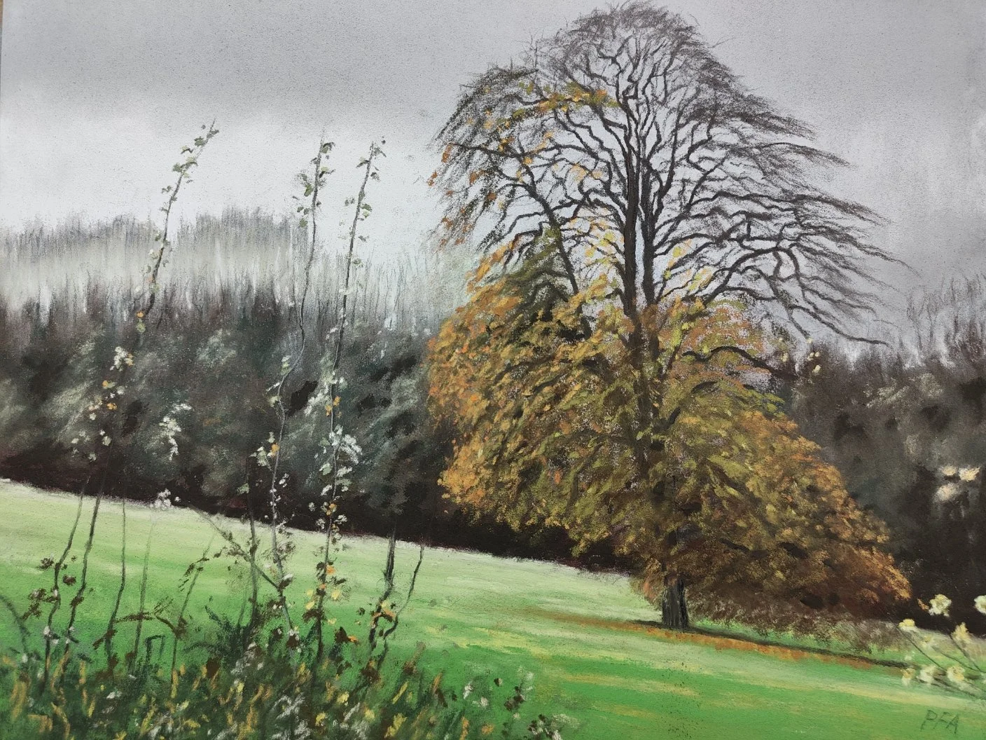 Peter Ainsworth 6 That+Raywell+Beech.jpeg