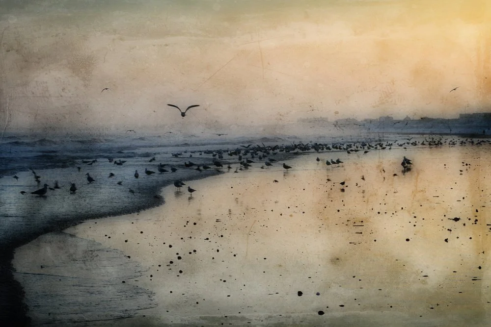 Photography by Helga Princz