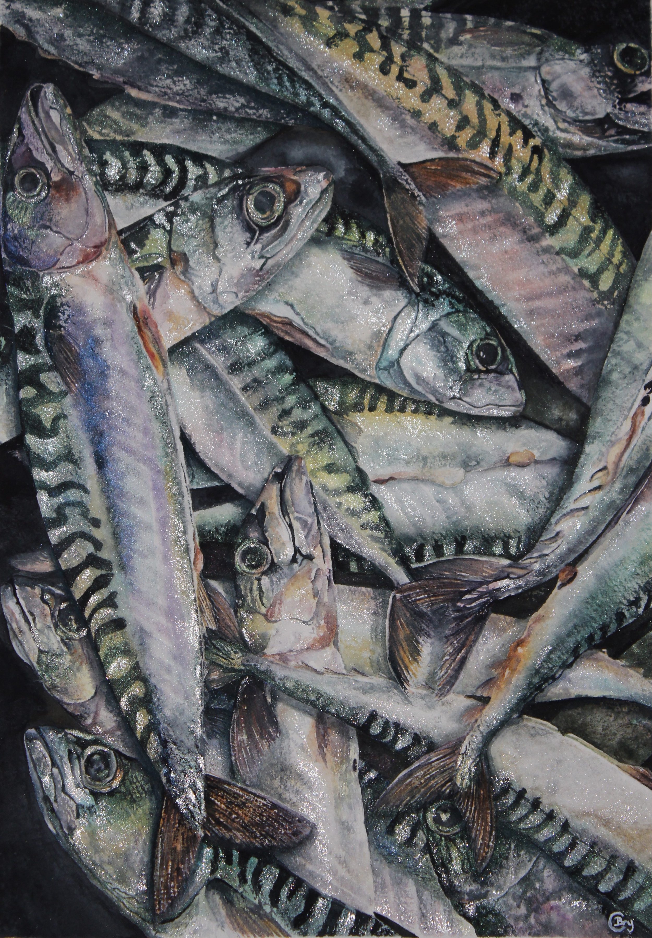 Bryony Caswell  2 Mackerel.jpeg
