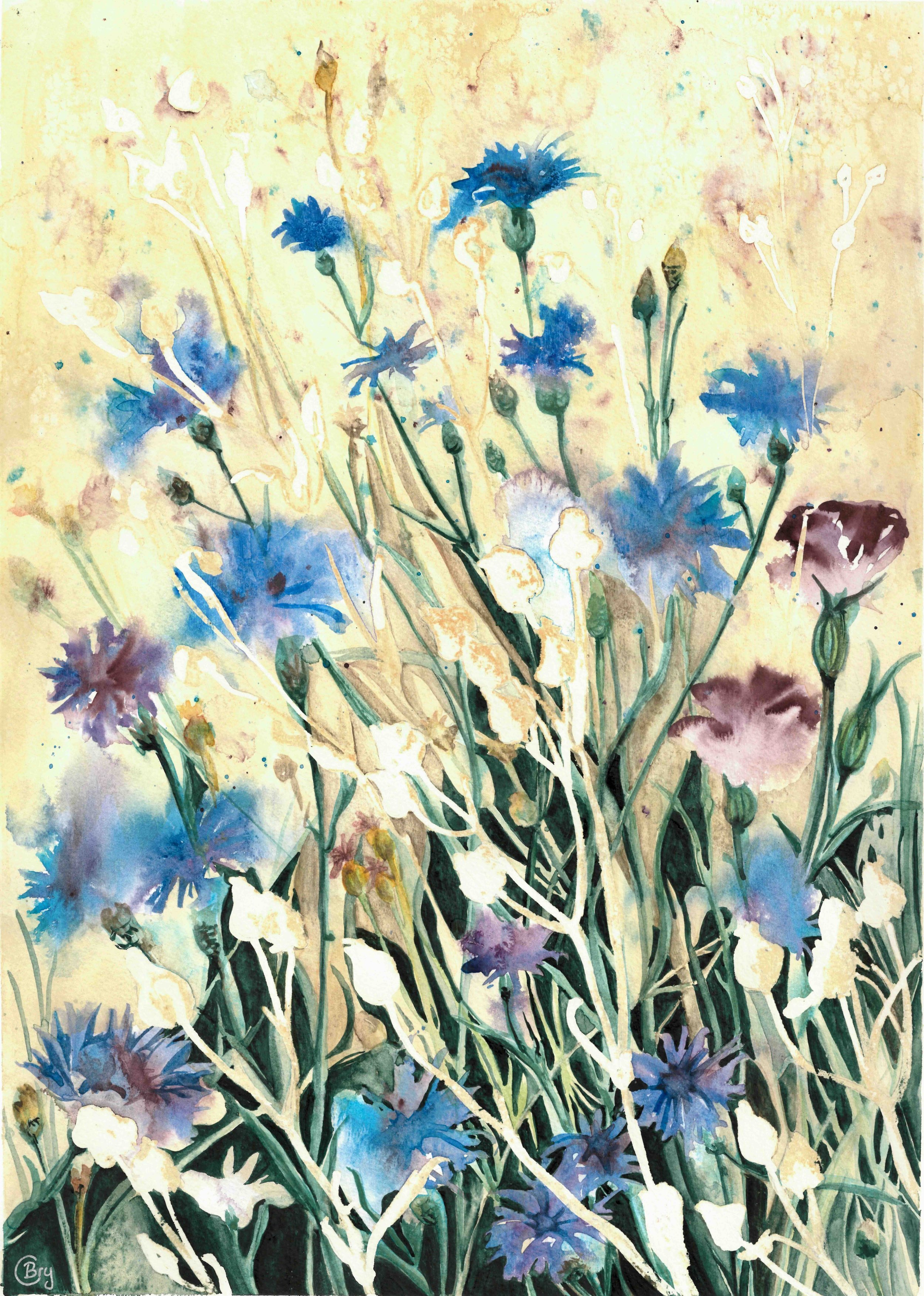 Bryony Caswell  4 Cornflowers.jpeg