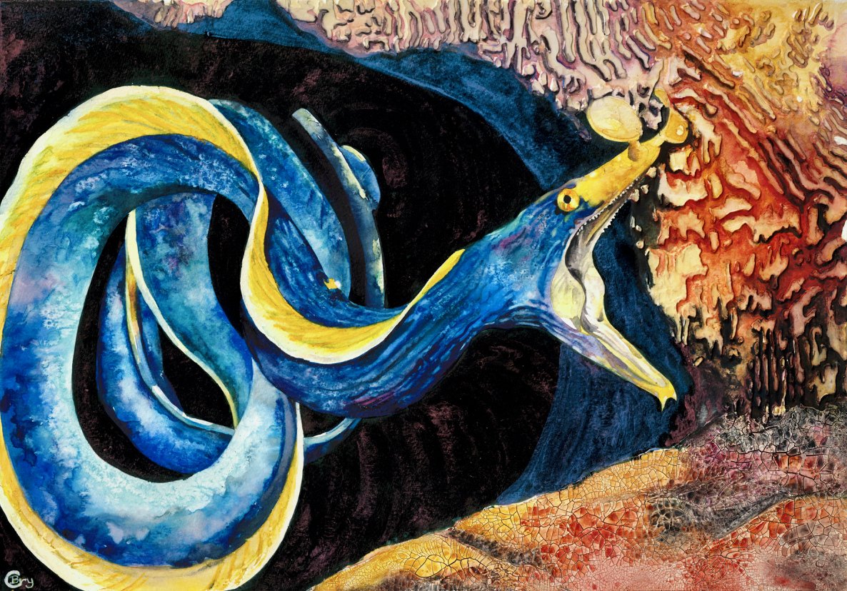 Bryony Caswell  6 Ribbon eel.jpeg