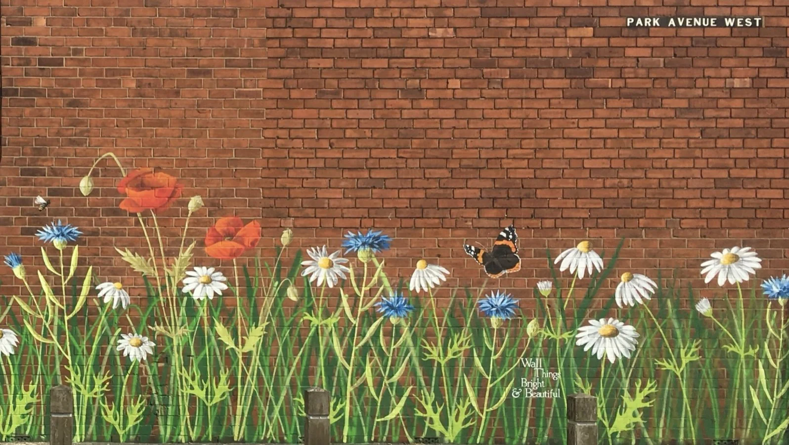 Katy Cobb 1 preferred.jpeg