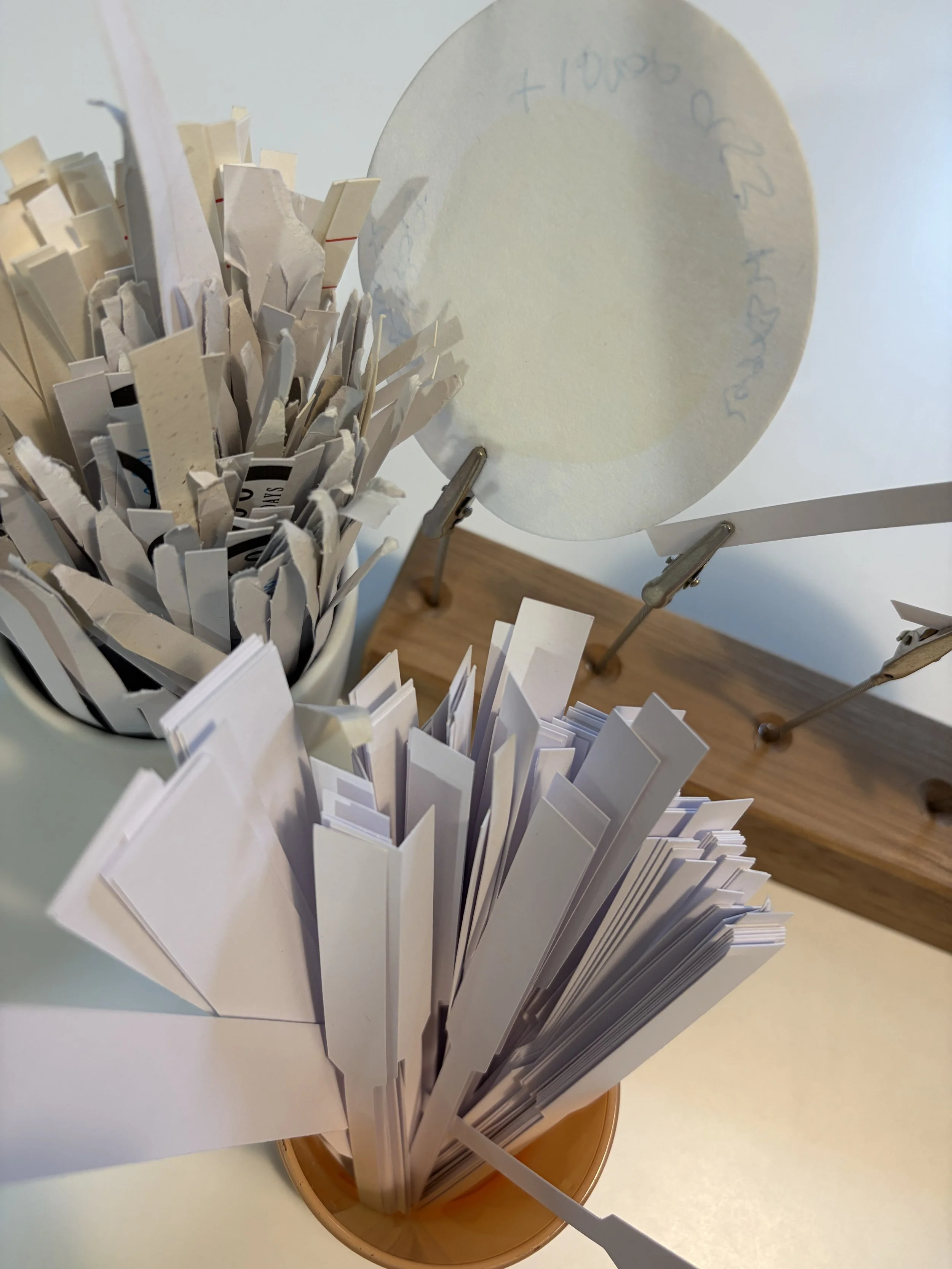 Claire Lettice 6 mouillettes5.jpeg