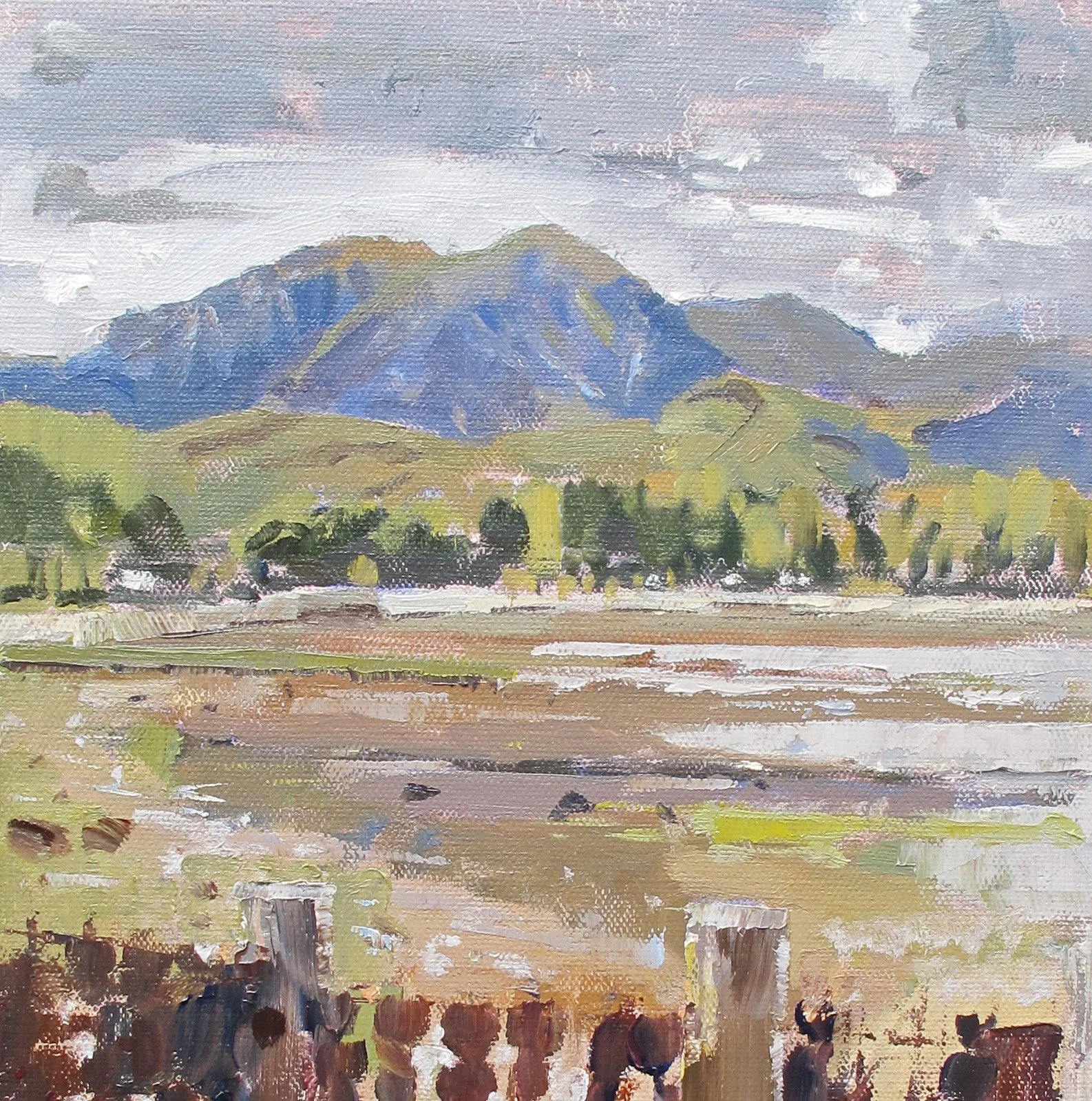 Ian Lettice 1 preferred.jpeg