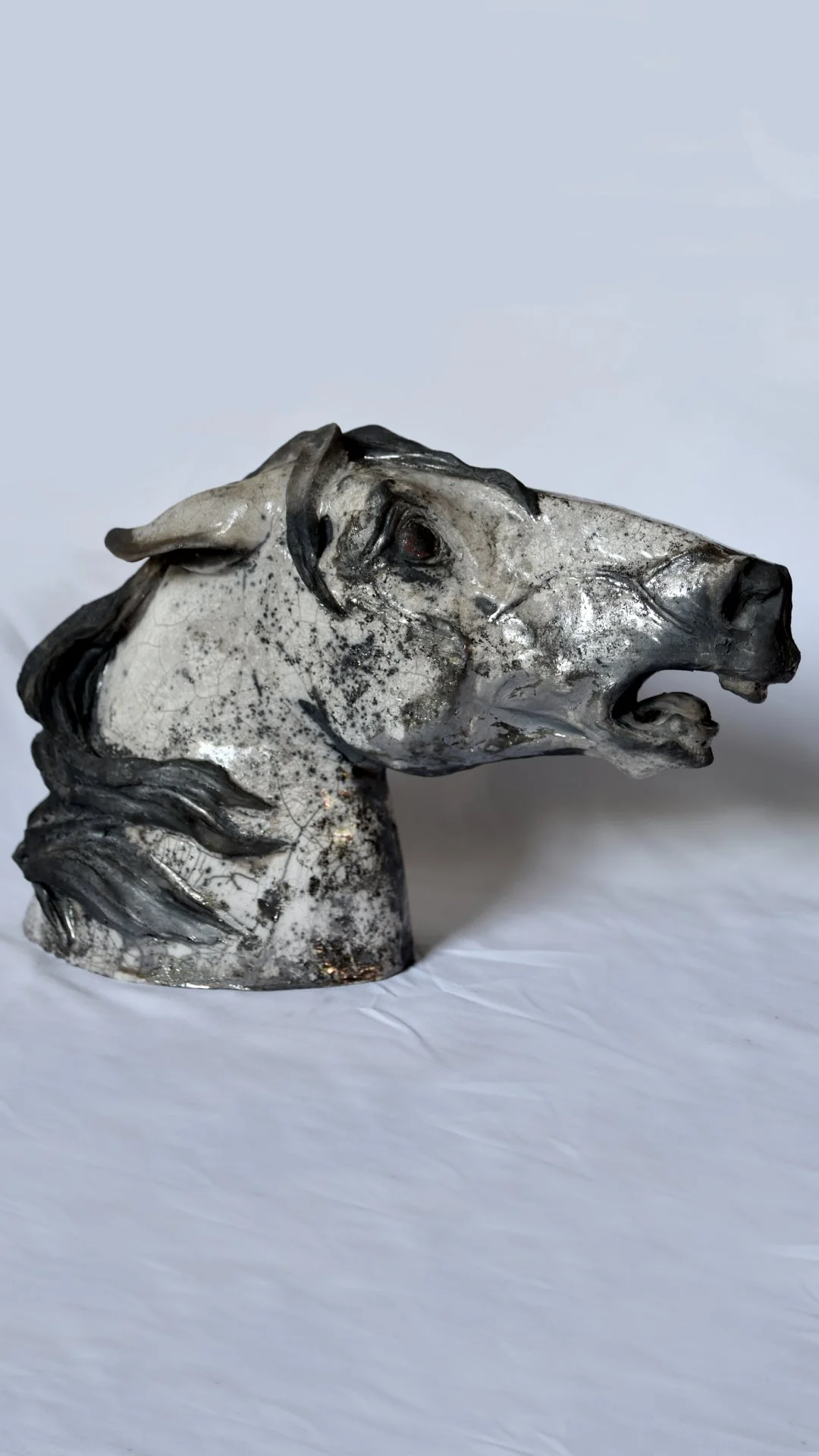 Charlotte Ward 19 replacement image.jpeg