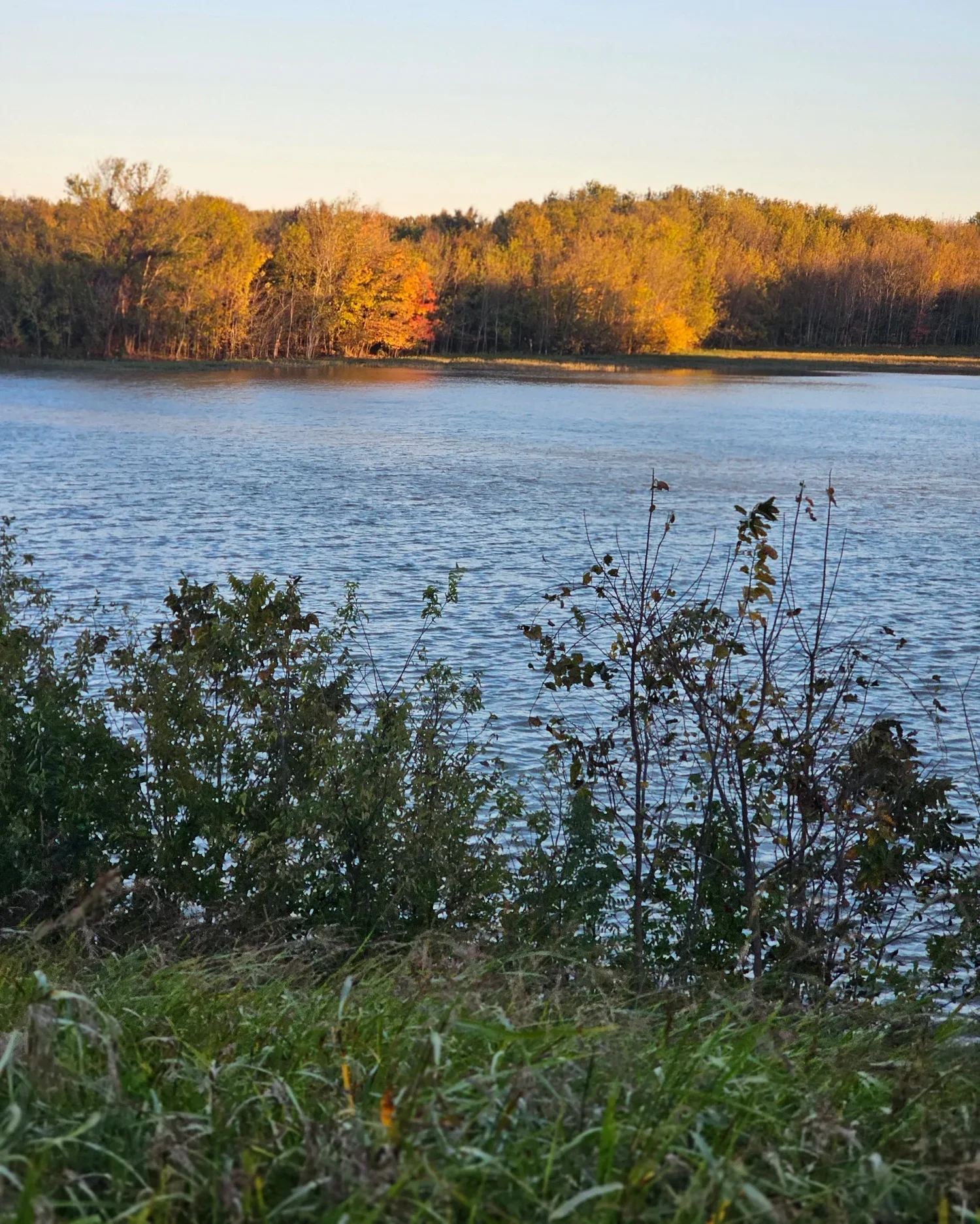liberty-hills-anna-tx-creek-open-space.webp