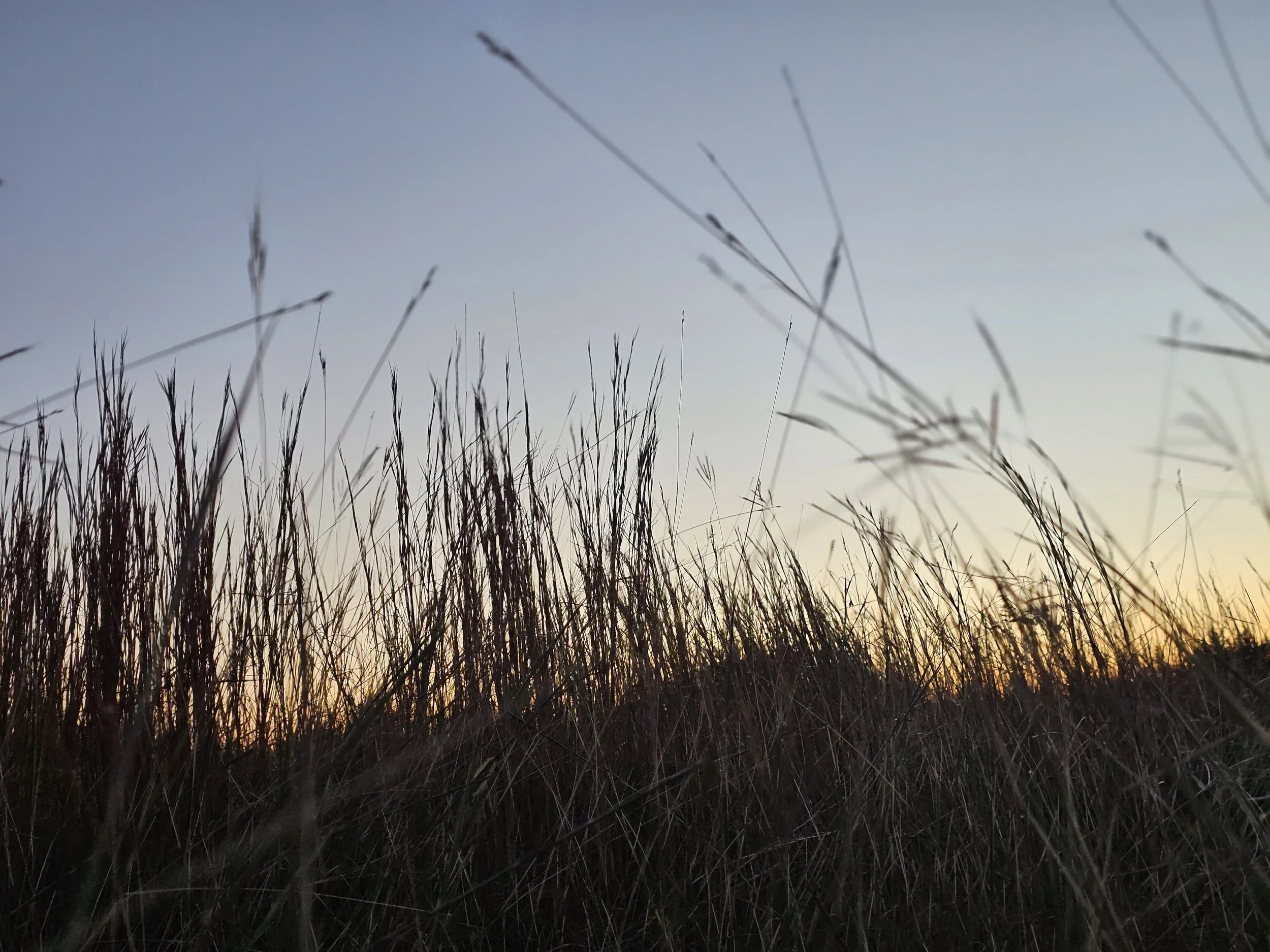 liberty-hills-anna-tx-site-morning.webp