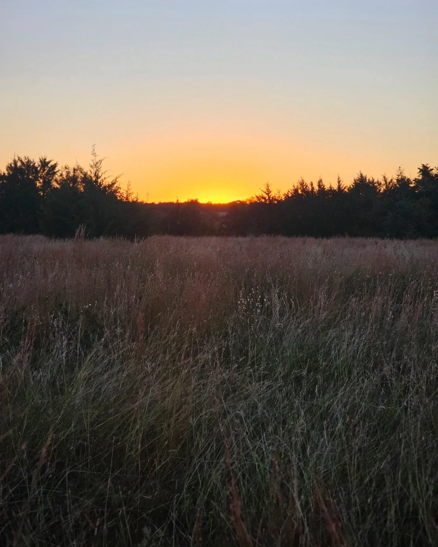 liberty-hills-anna-tx-amenity-ridge.webp