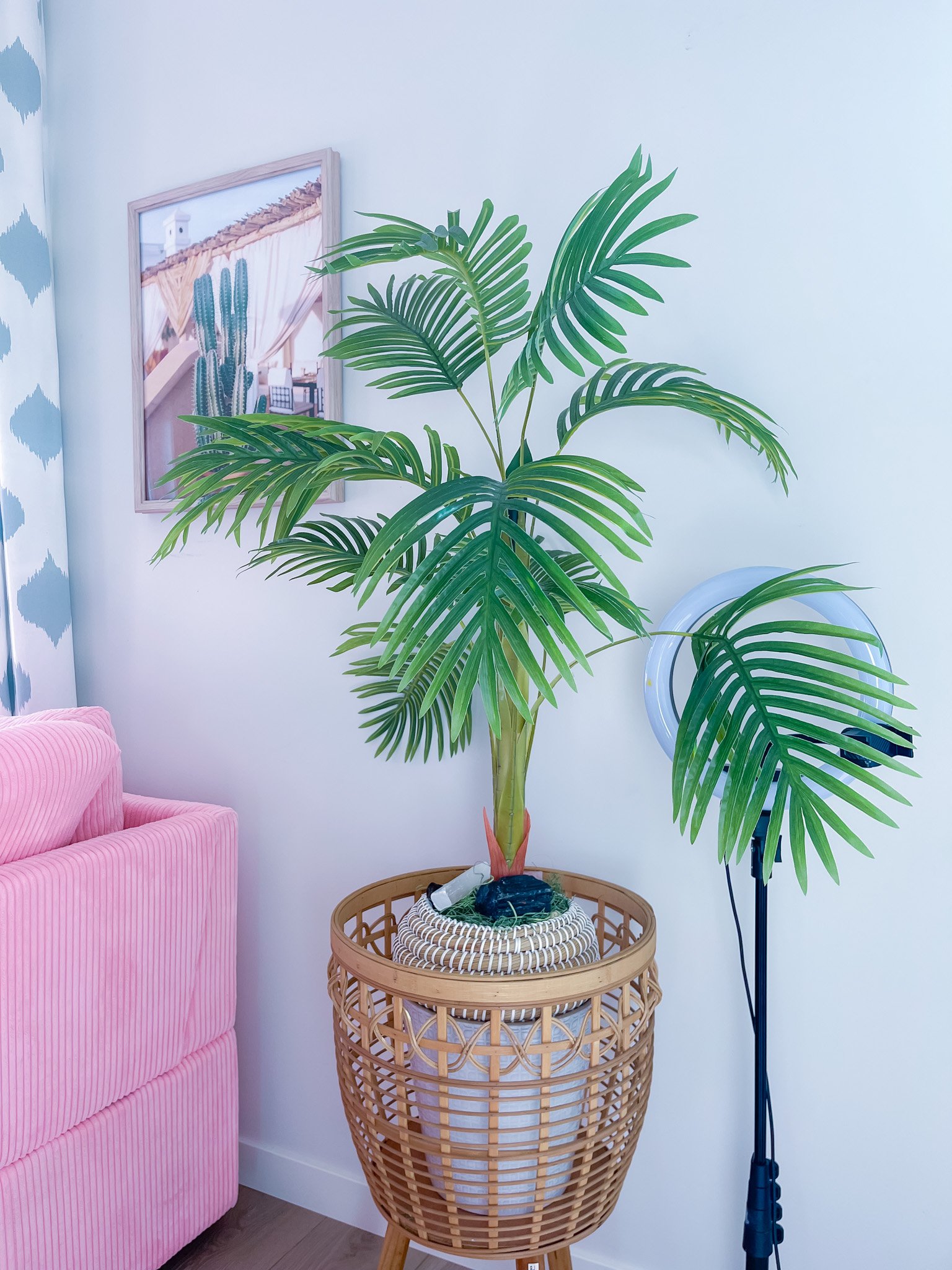 Large potted palm plant in a decorative wicker basket, placed next to a pink couch and a standing ring light, with framed artwork on white walls in a cozy living room.