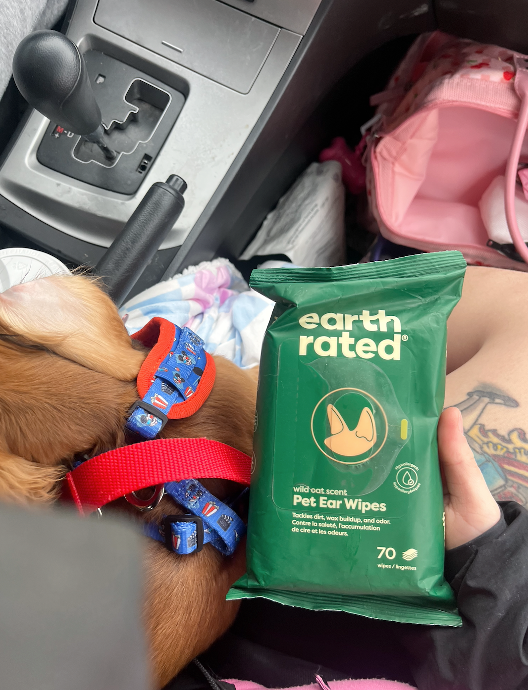 Person holding a package of Earth Rated pet ear wipes inside a car, with a brown dog wearing a blue harness and person’s leg with tattoo visible, and car dashboard in the background.