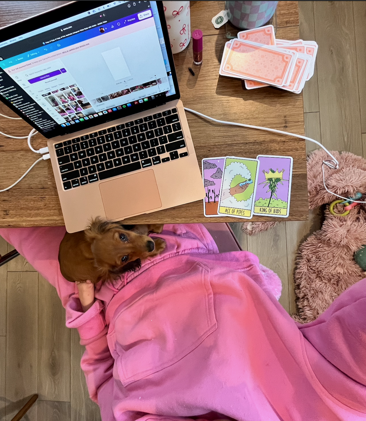 A person wearing a pink hoodie sitting with a small brown dog on their lap at a wooden desk. The desk has a laptop, scattered tarot cards, and a mug. The person is holding the dog and looking up at the camera.