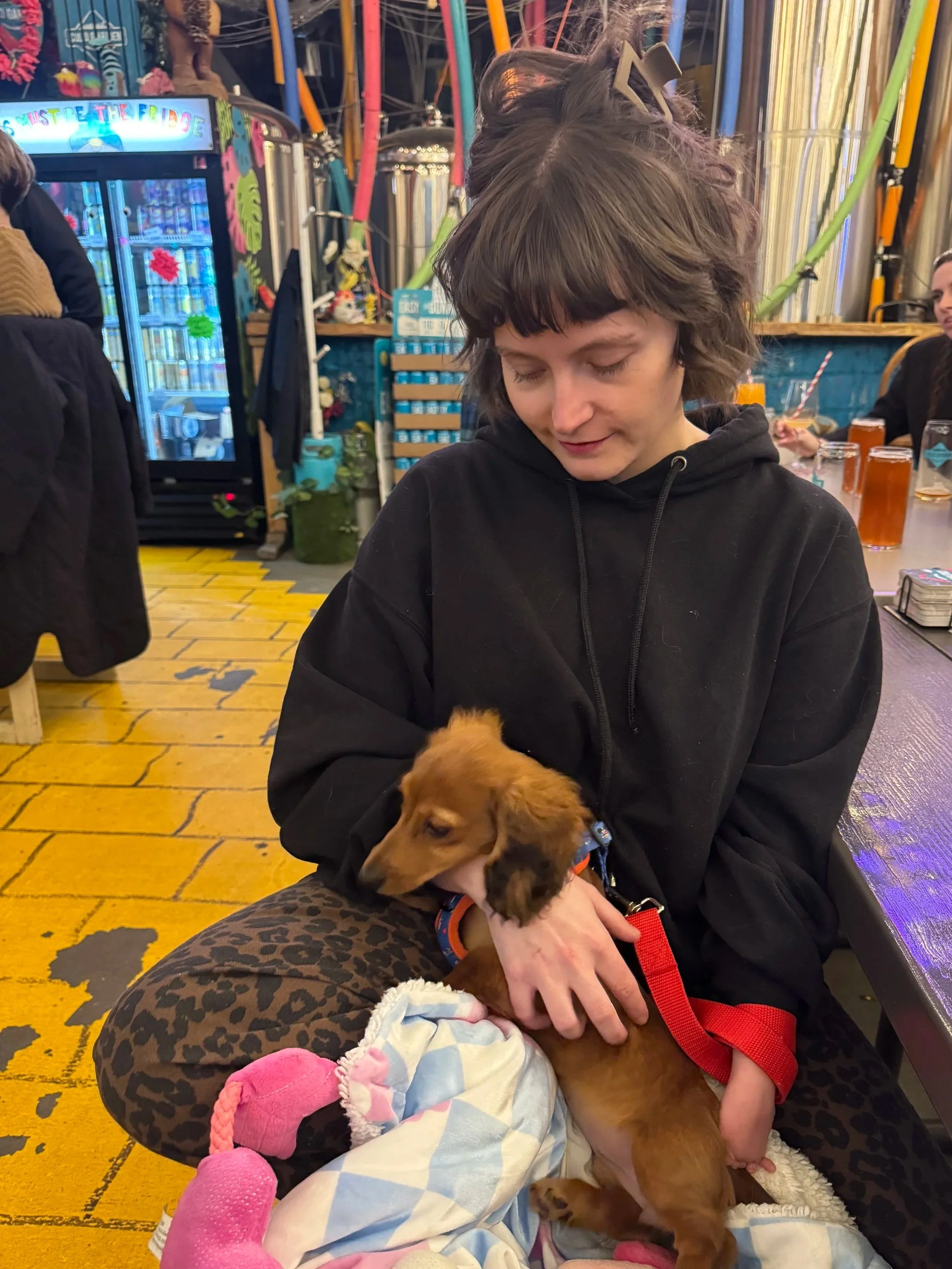 A woman with short brown hair and a black hoodie holding a small brown dachshund puppy, with a young girl in a pink and white outfit lying on her lap in a colorful restaurant or cafe.