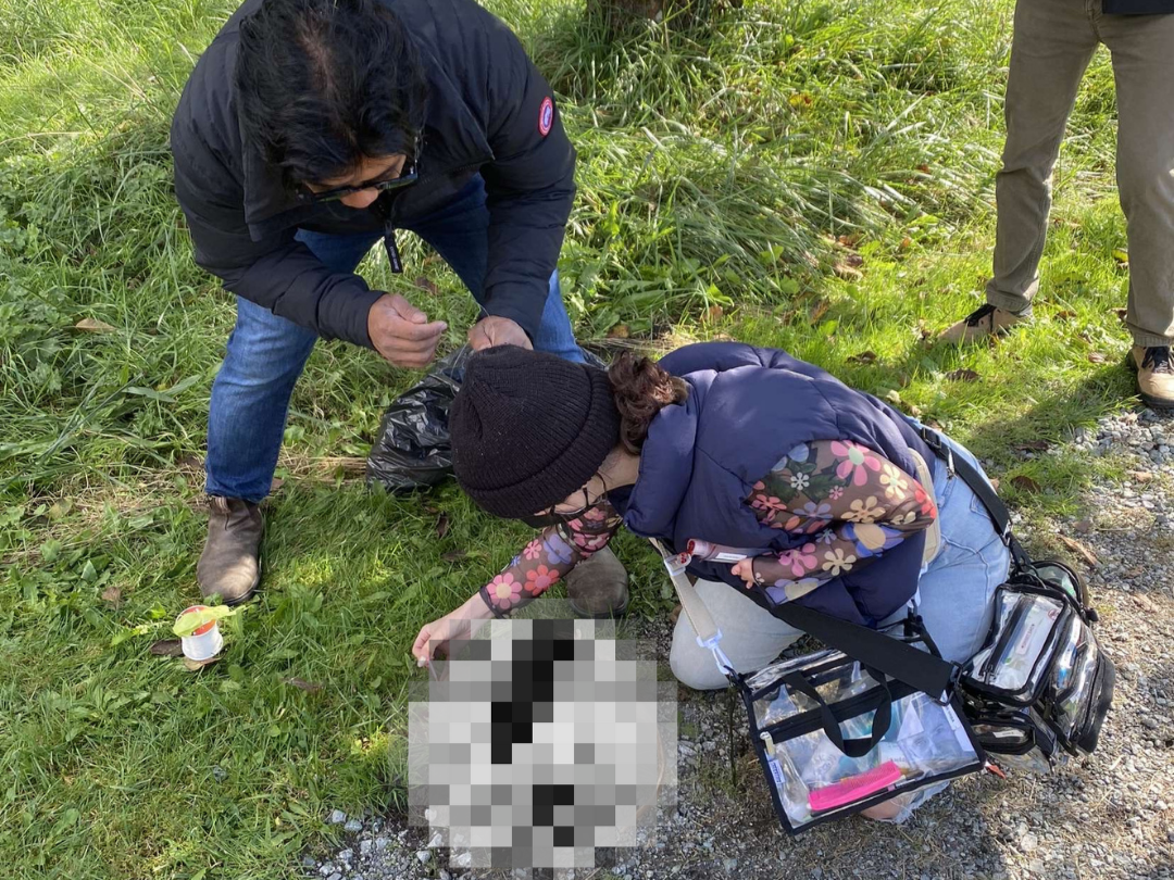 Two women and one man examining a pixelated object on the ground in a grassy outdoor area. One woman is kneeling, wearing a beanie, glasses, and a navy jacket with floral sleeves, and the man is standing, leaning towards the object. The other woman is crouched, also leaning towards the object, wearing a black beanie and glasses, with a bag hanging from her shoulder.