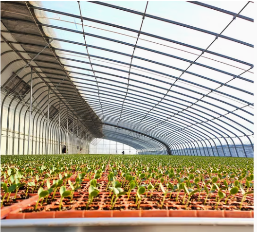 Weixin Image_20260324151651_1040_162.png