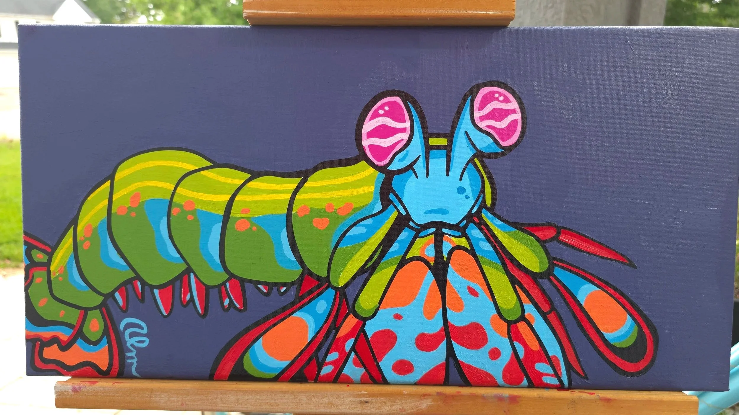Mantis Shrimp 