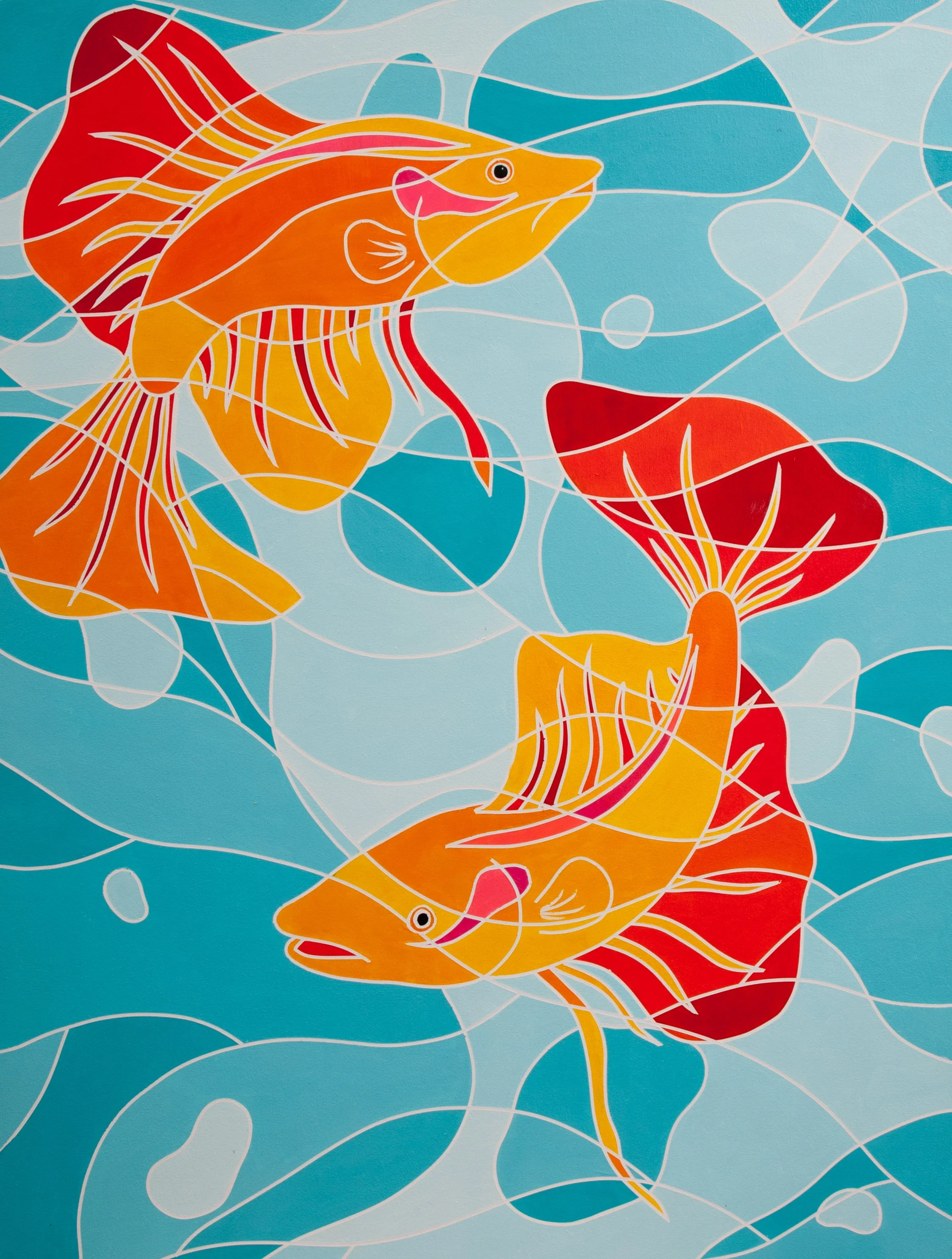 Wrasses.jpg