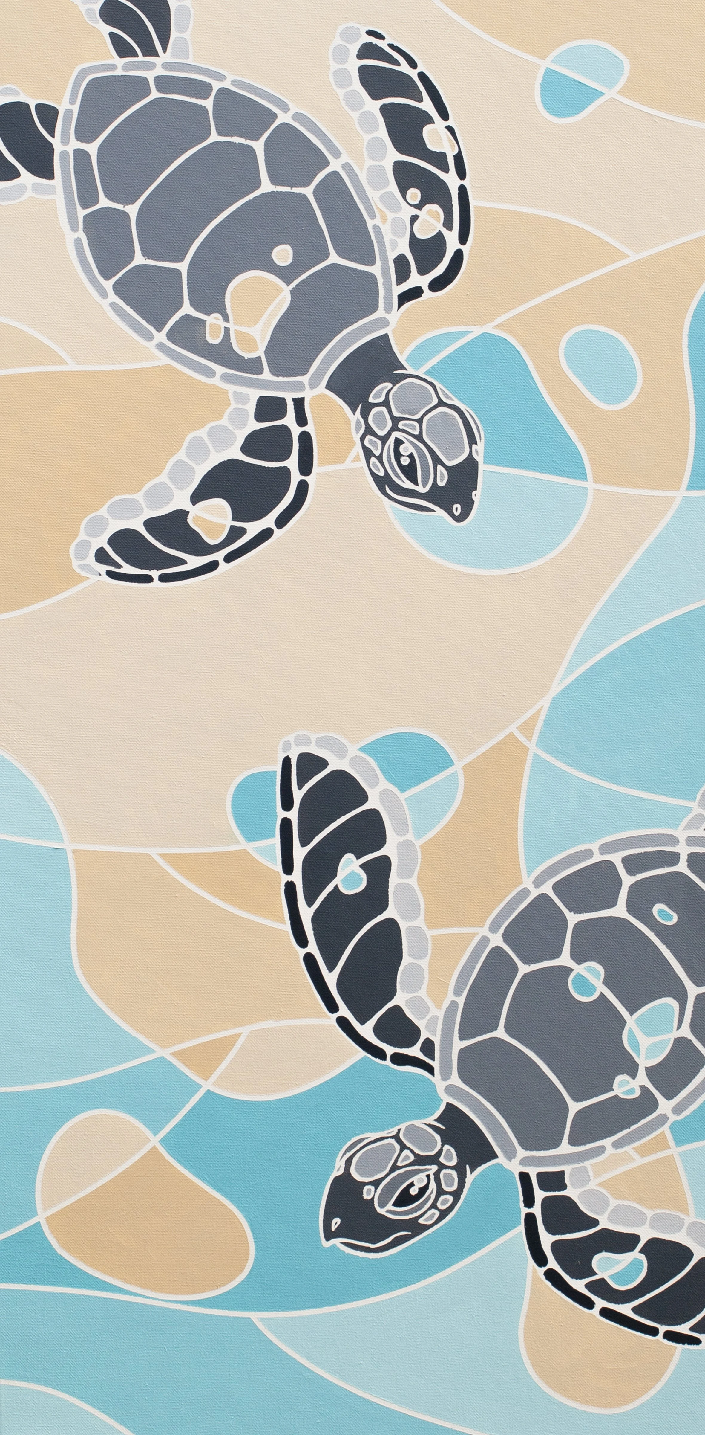 turtle.jpg