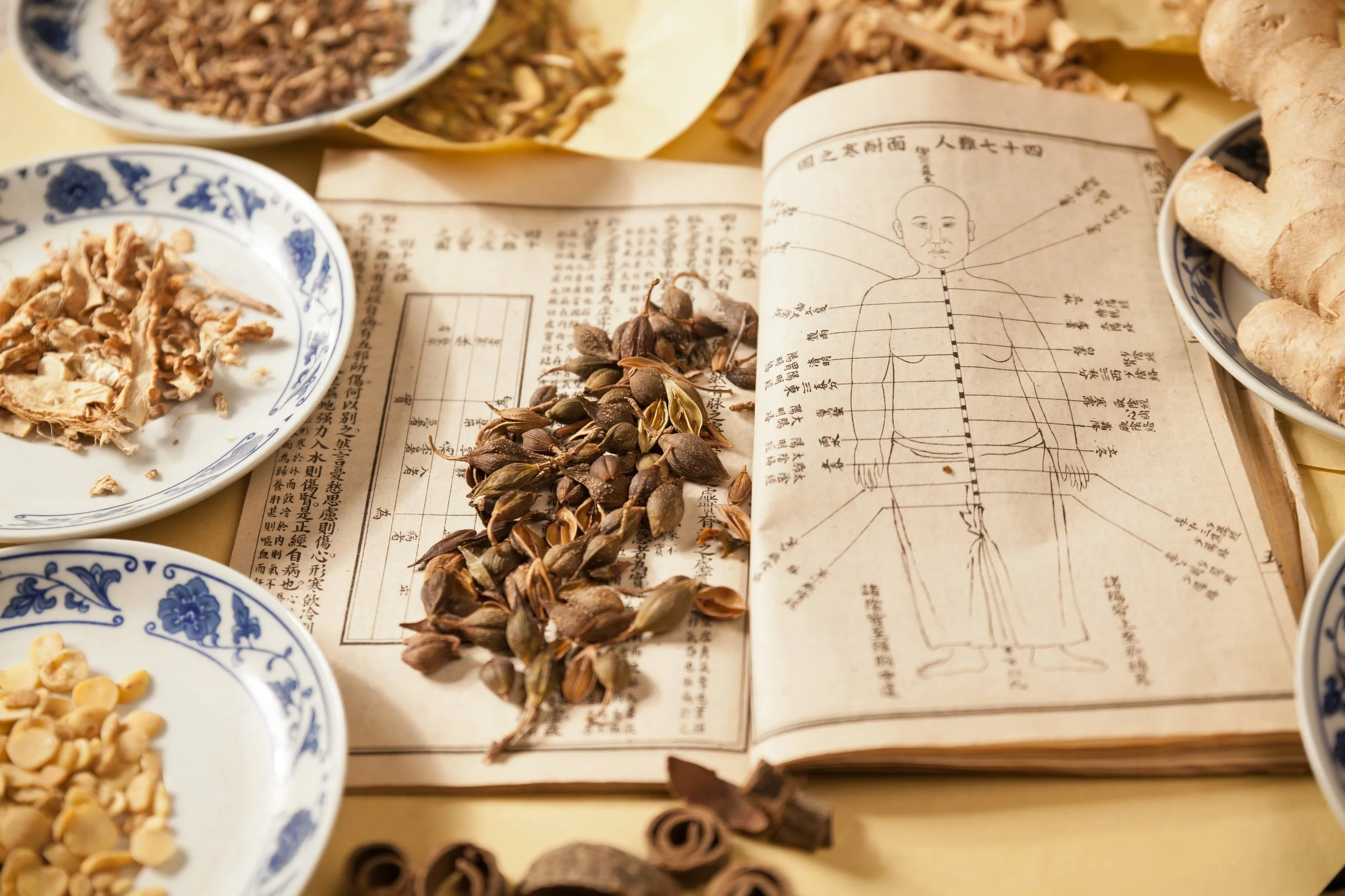 Herbal Consultation