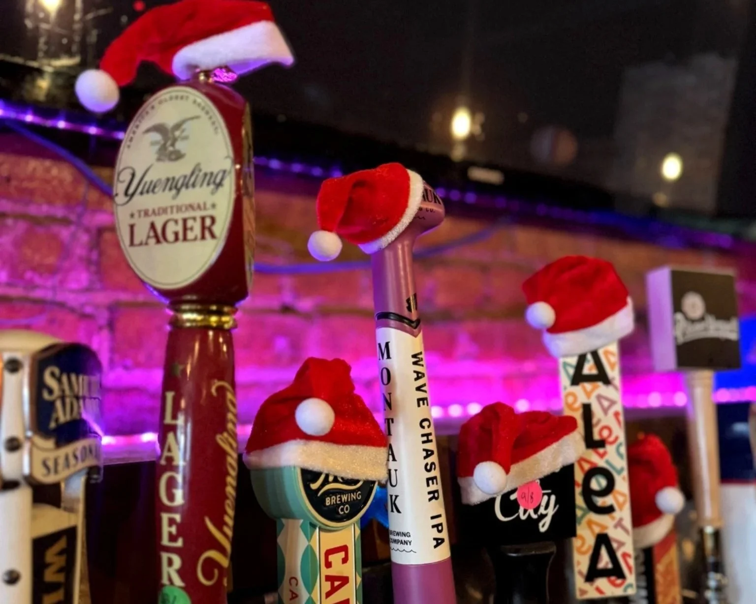 The Shep | Holiday Install