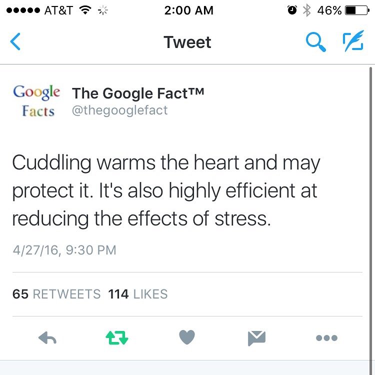 Cuddling makes life better.
