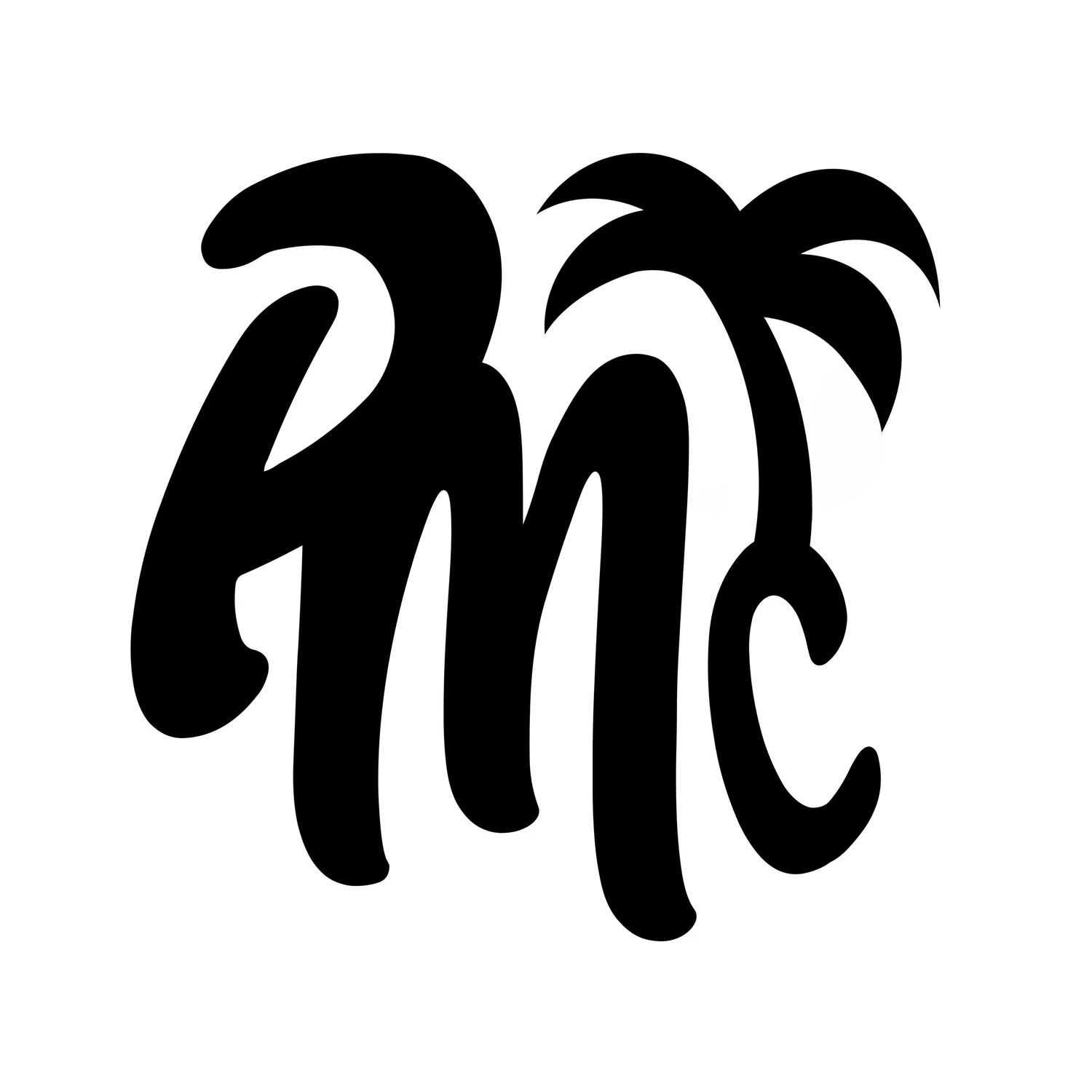 Playa Mounting Company