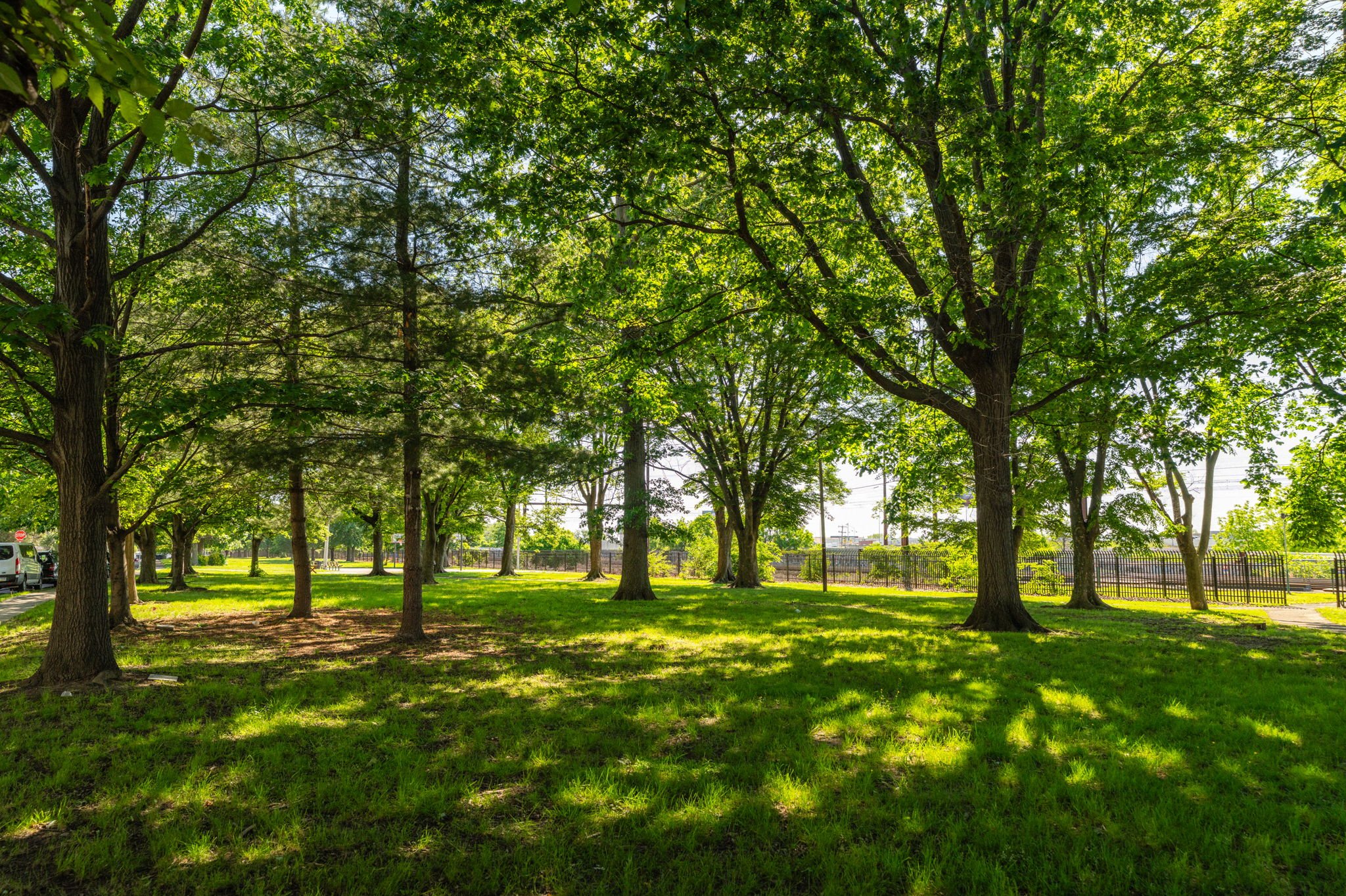 Love Your Park Disston Park Cleanup