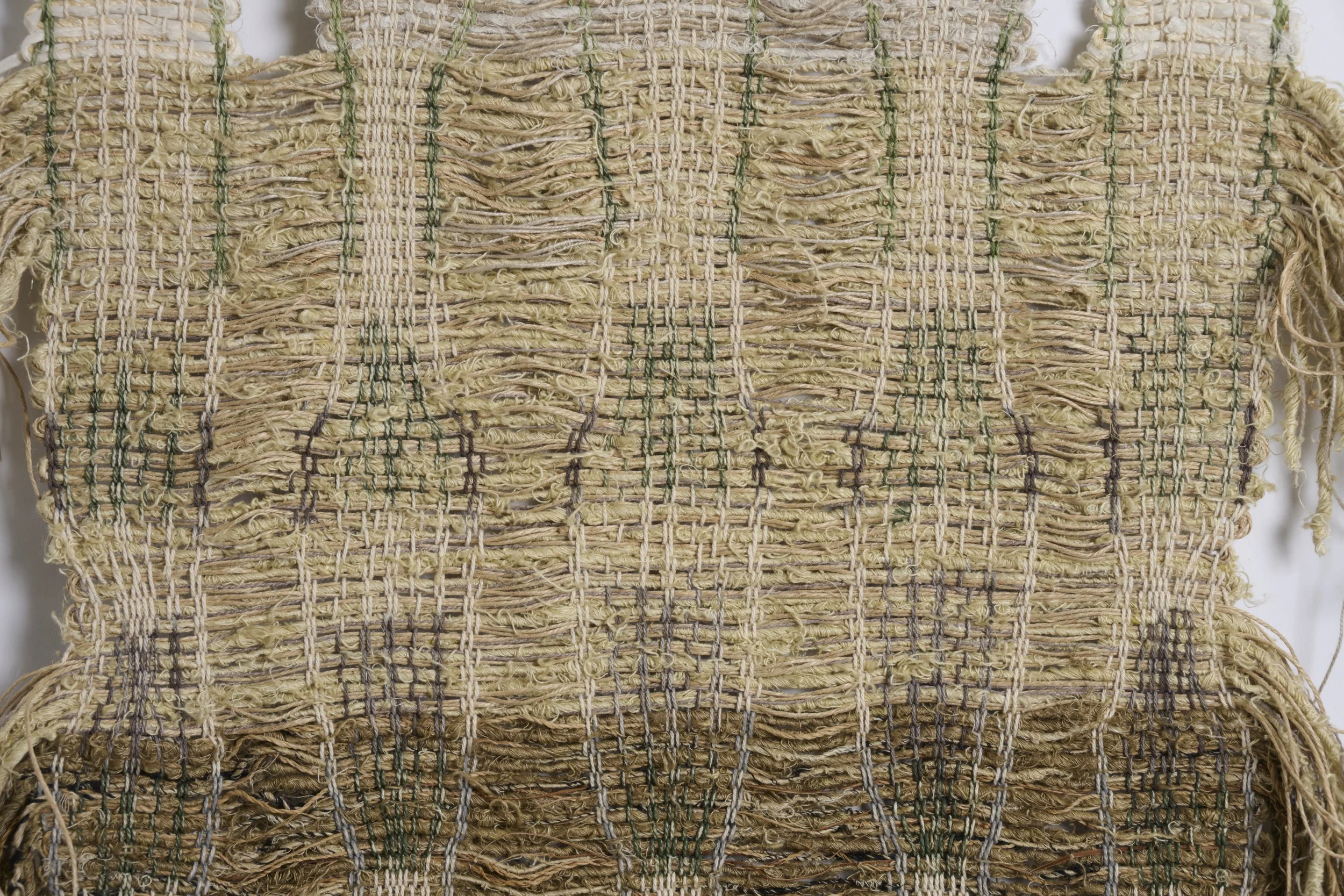 Shield_Sagebrush_0756 2.jpg