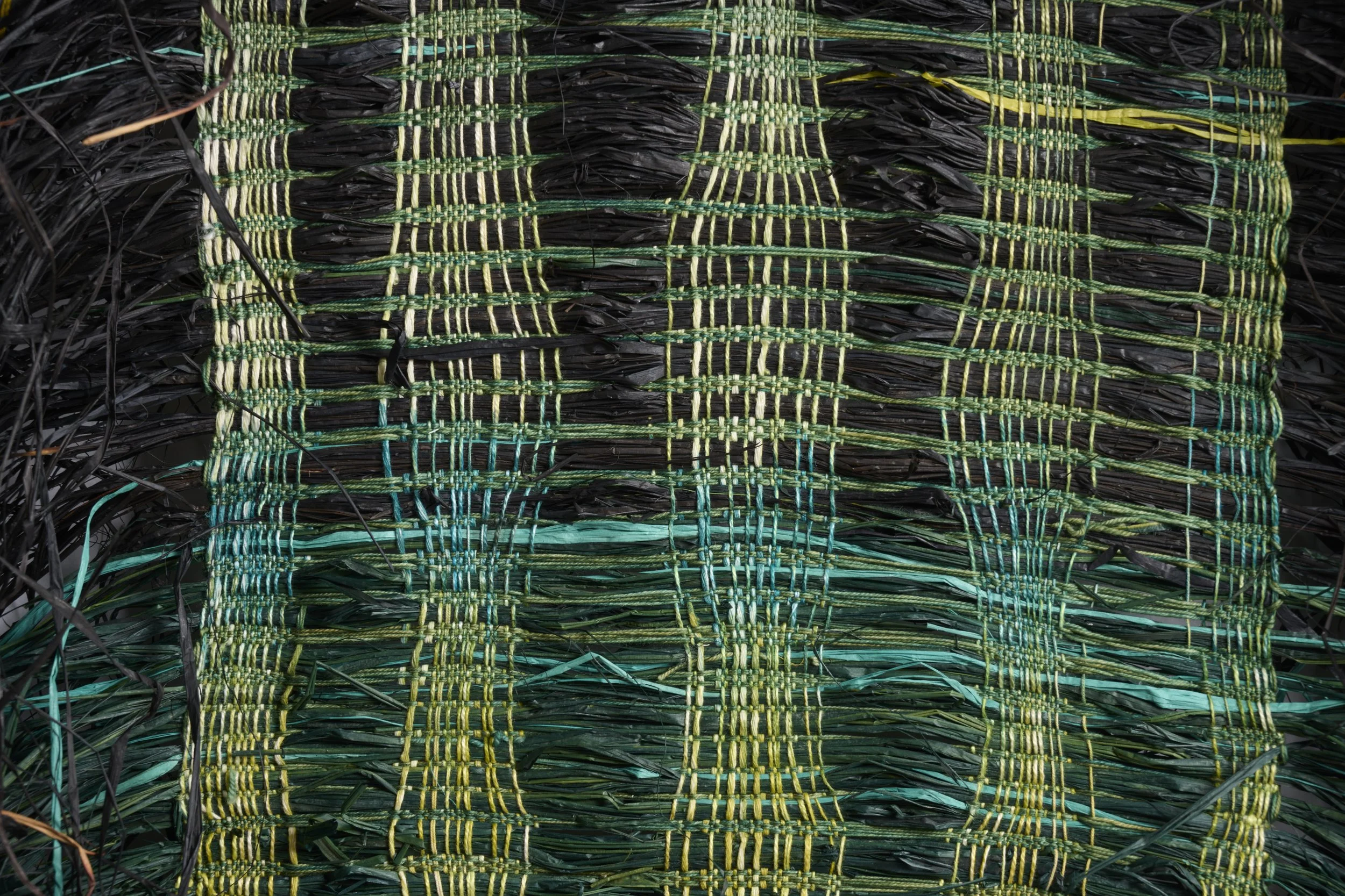 Shield_Black_Green_0690 2.jpg