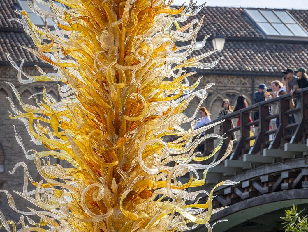 'CHIHULY: Venice 2026' makes grand return to Italy, handcrafted along Lake Union