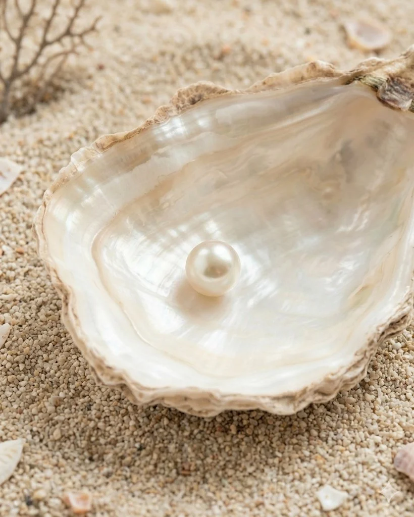 Single pearl inside an open clam shell on sandy surface with small rocks and shells in background.