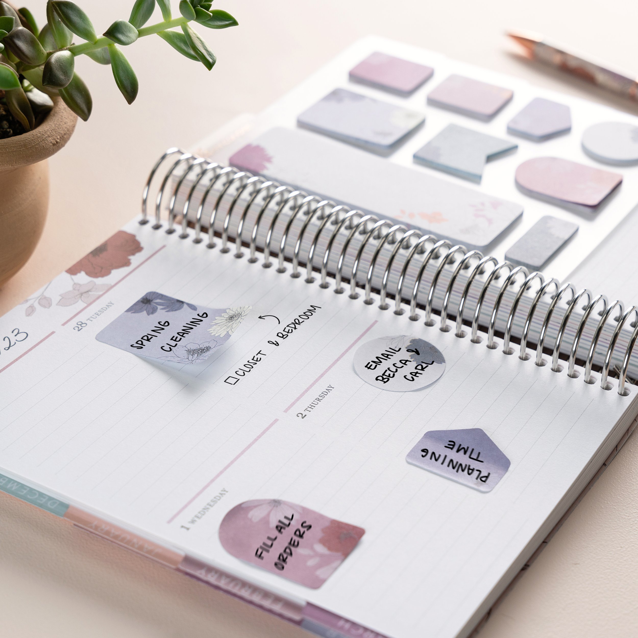 ECD2022-453_mu SQ.jpg