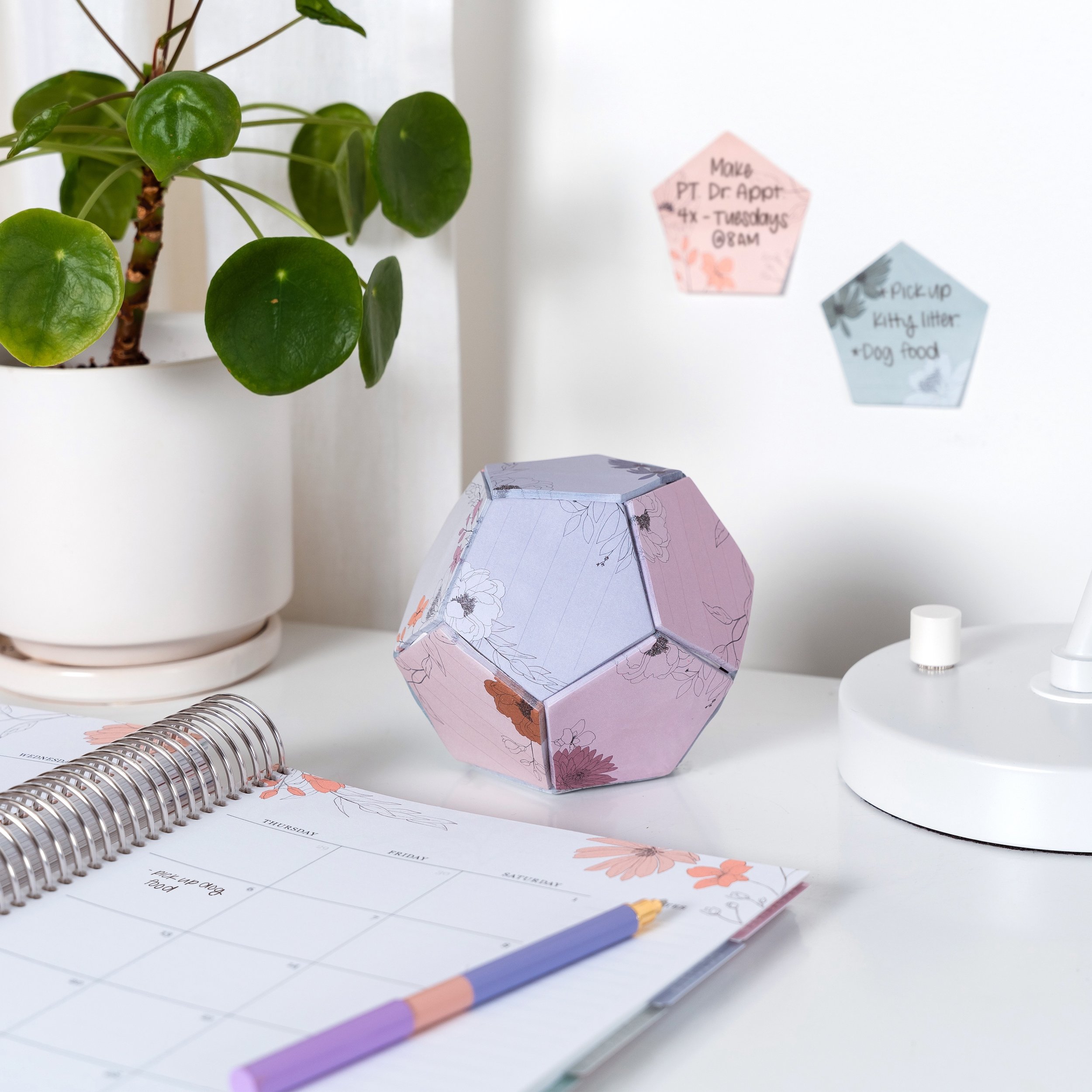 ECD-1581_SQ_mu 2.jpg