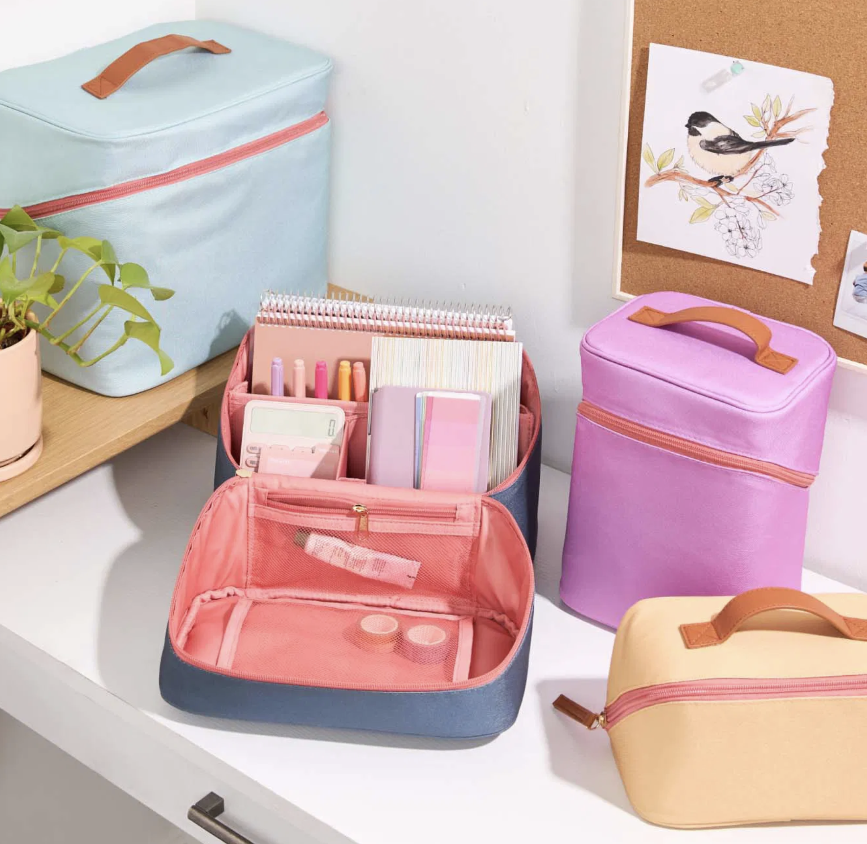 Screenshot 2026-03-03 at 6.41.22 PM.png