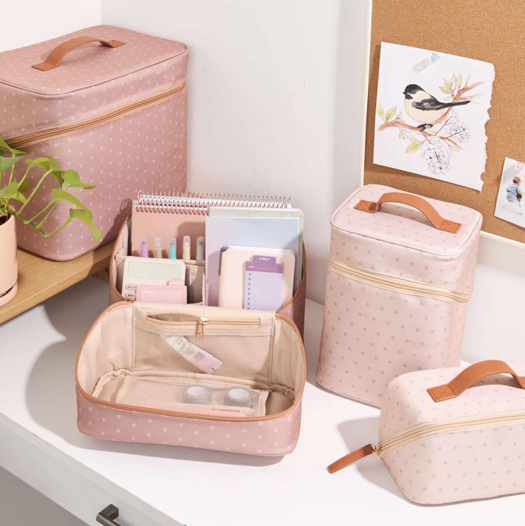 Screenshot 2026-03-03 at 6.42.12 PM.png