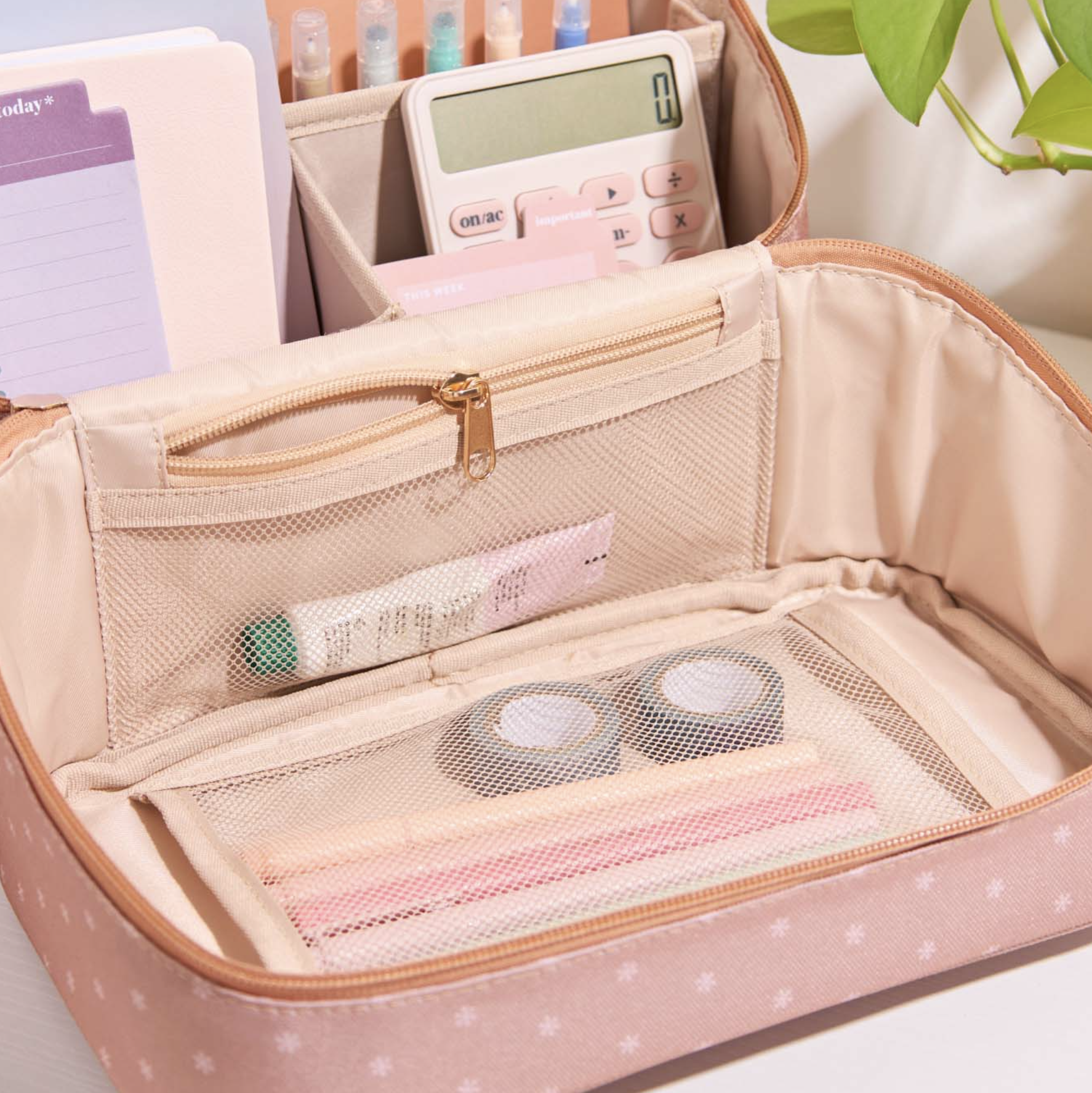 Screenshot 2026-03-03 at 6.31.31 PM.png