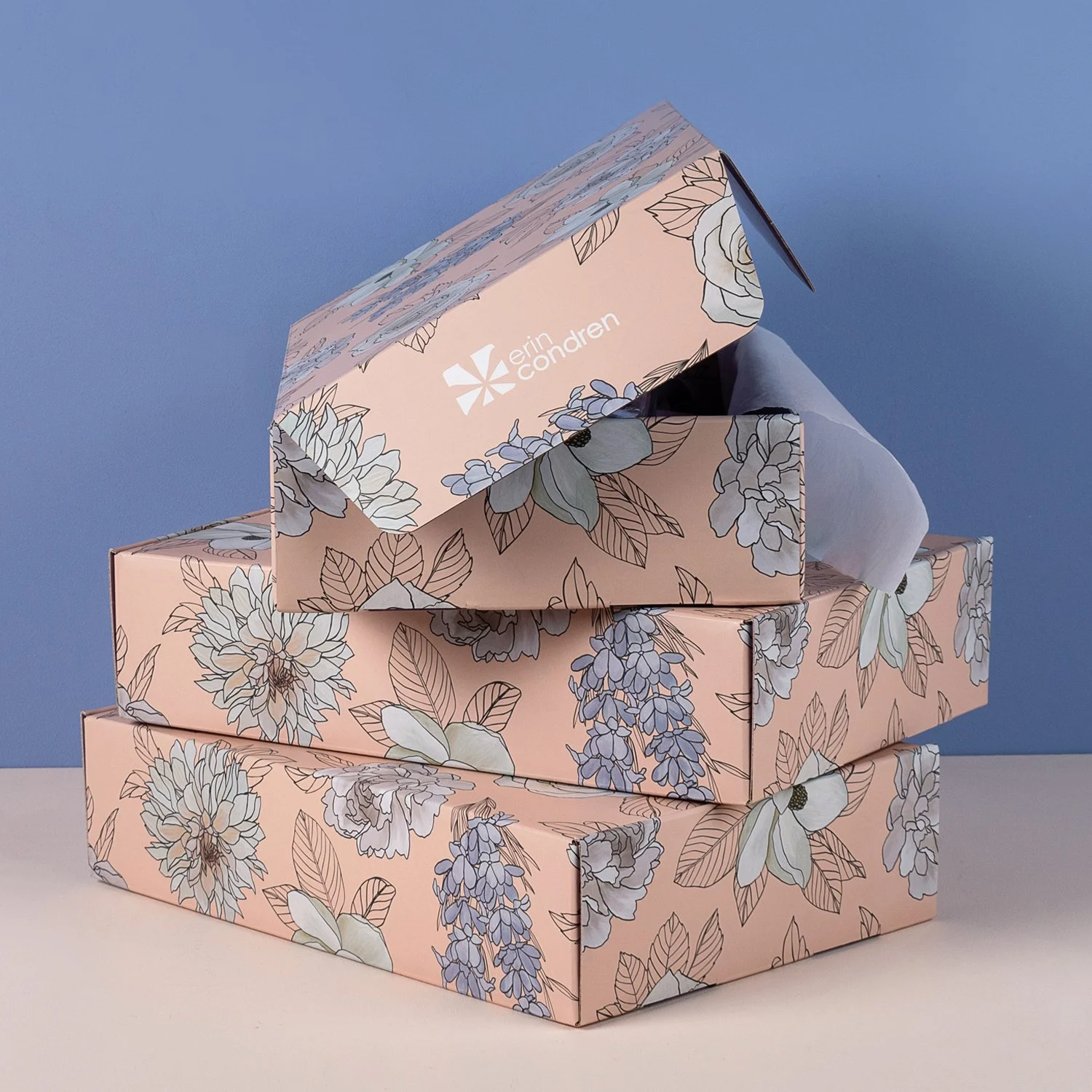 ECD_spring SSB_box.jpg