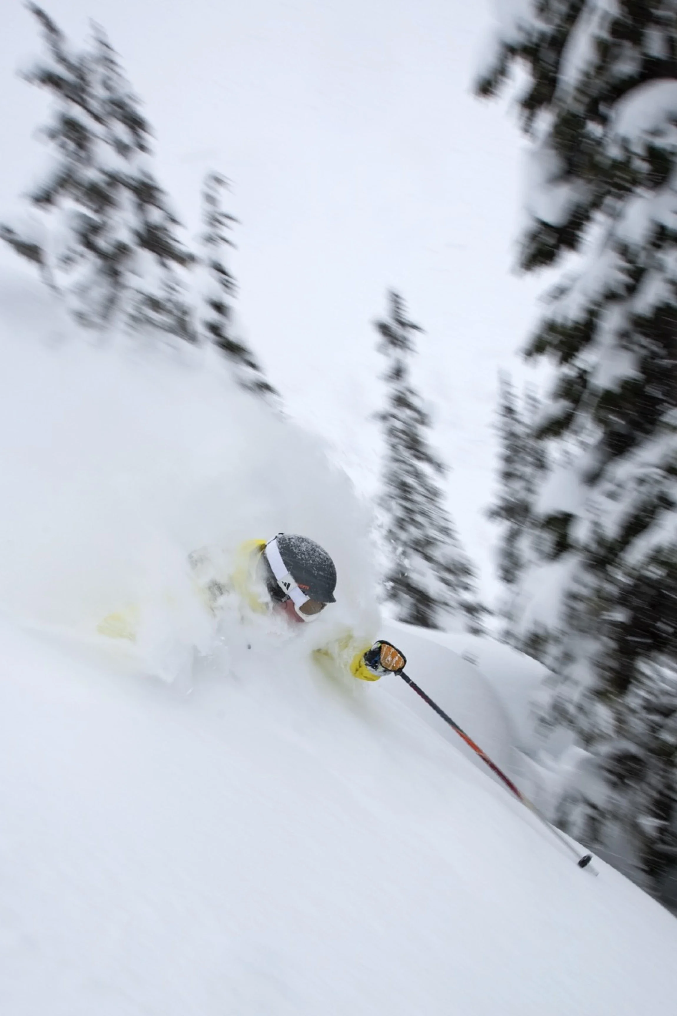 Skier skiing through deep powder in the trees