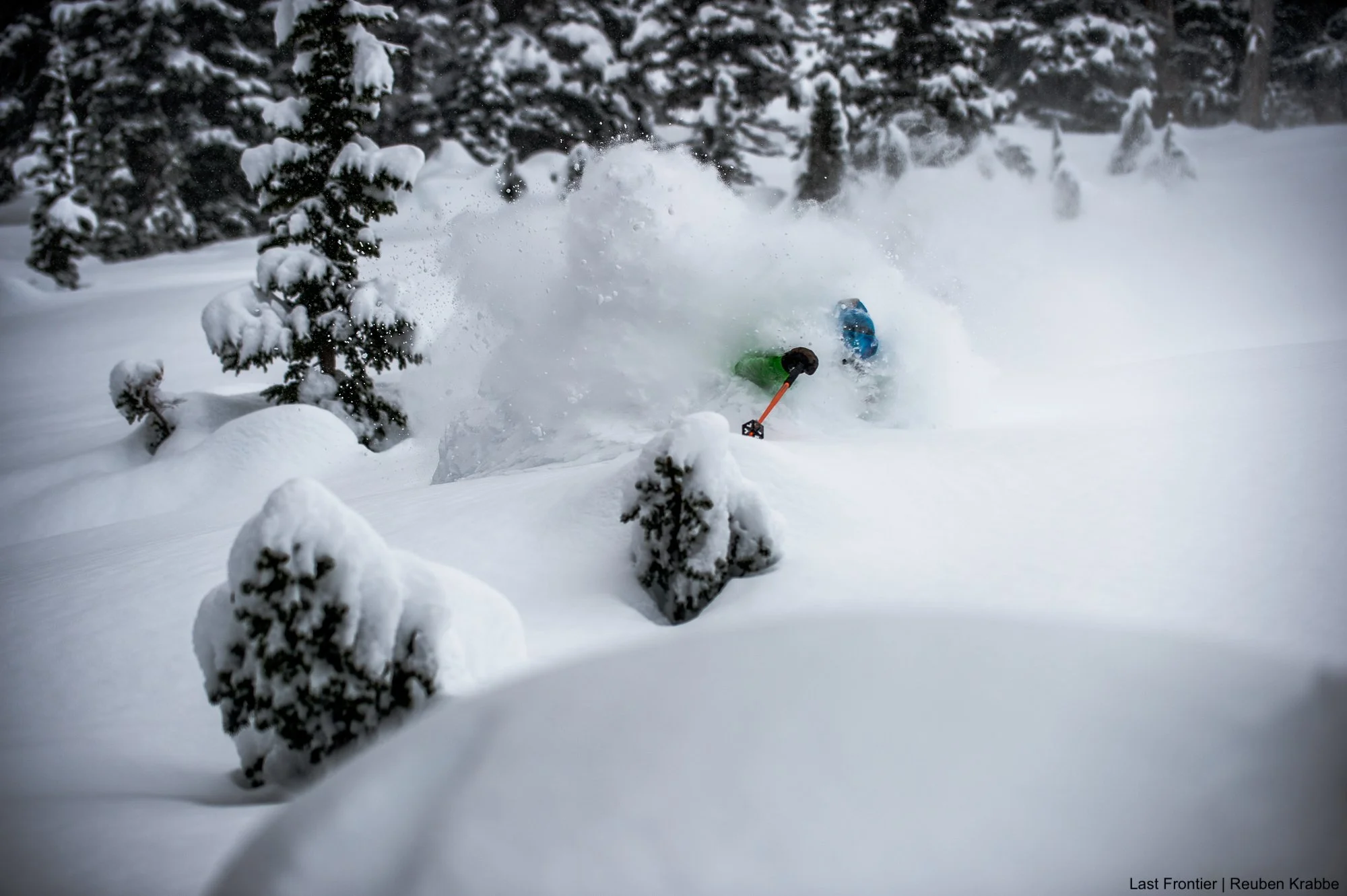 Skier making a powder turn through the deep snow and mature old growth trees of the Coast Mountains.