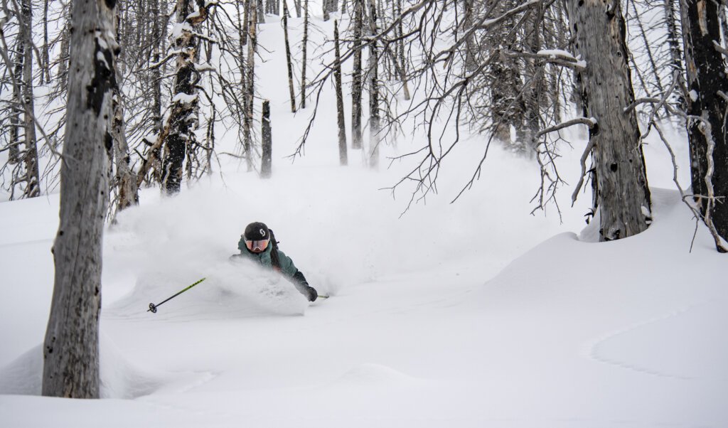 Skier skiing deep powder through an open burn at Silvertip.