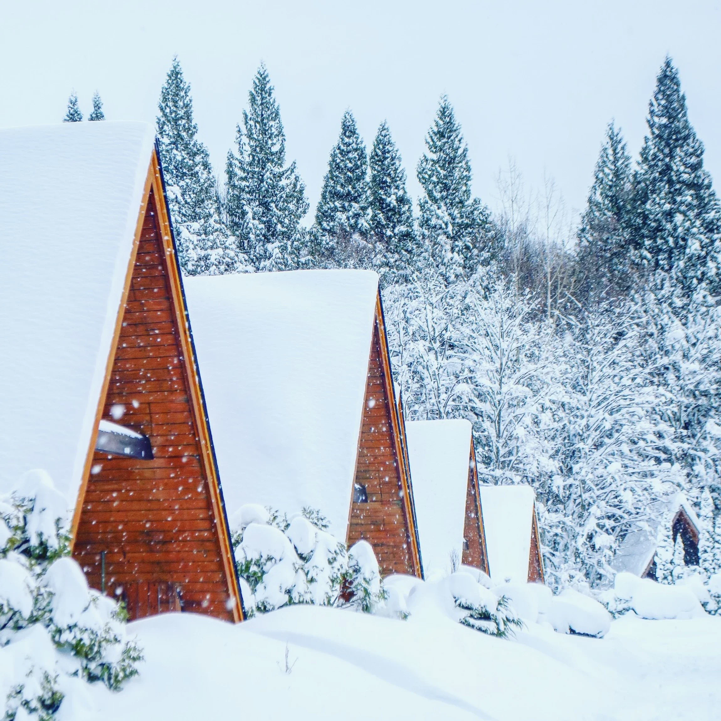 Private Skeena Spey cabins surrounded by snow