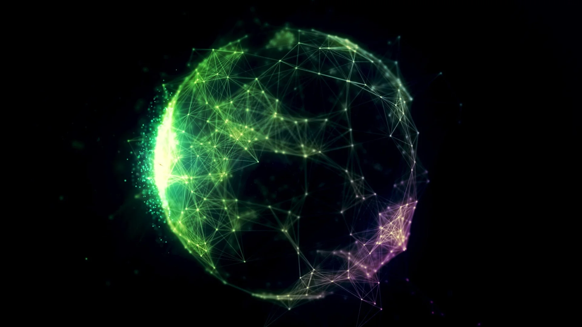 Video & Motion Graphics