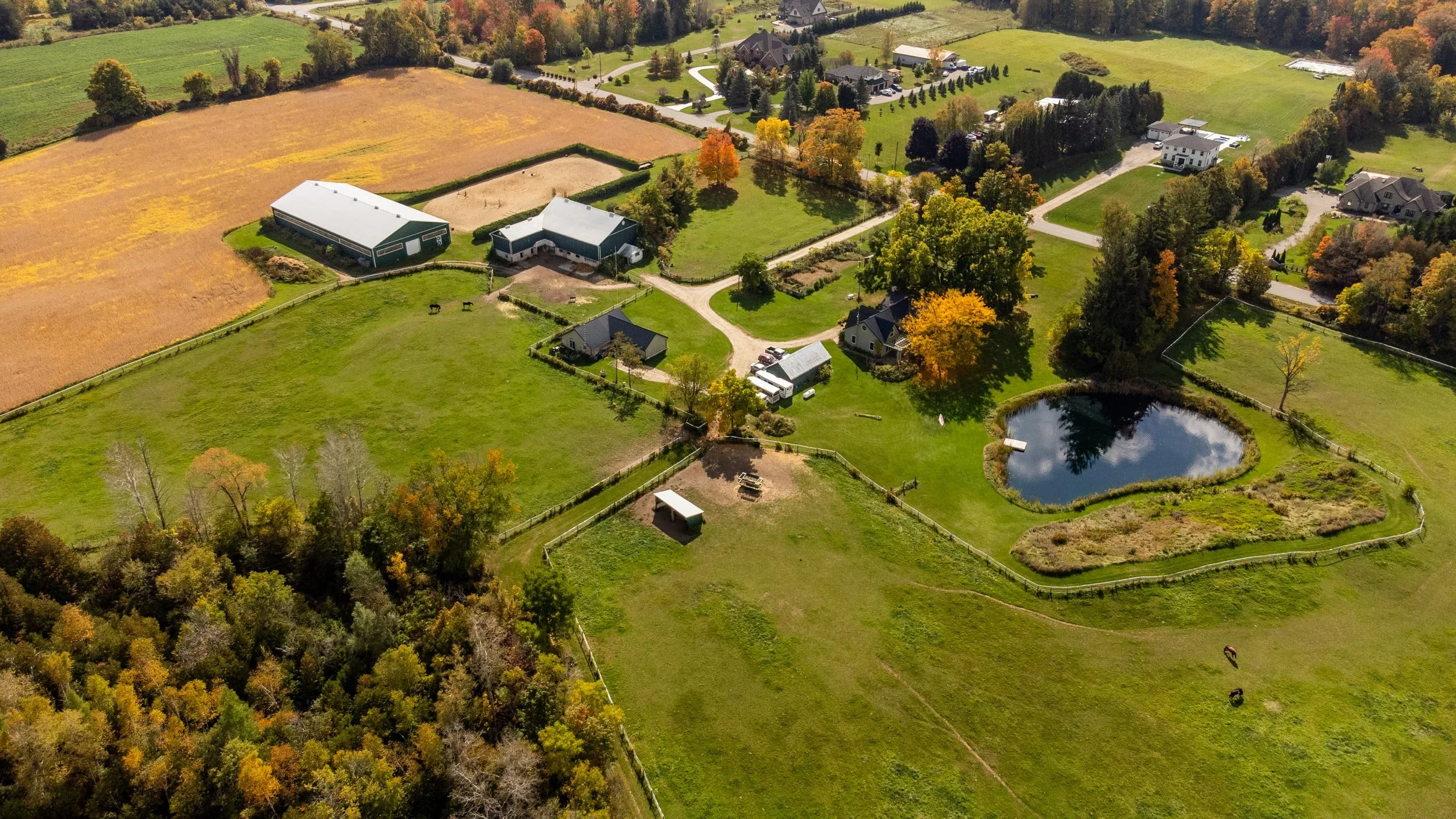 DJI_0147.webp