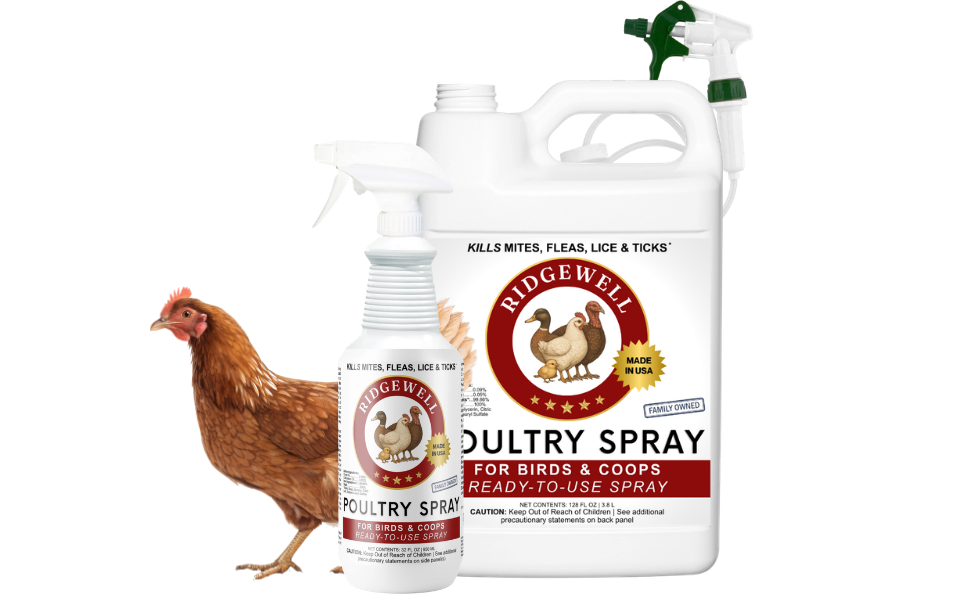 Poultry mite sprays kills chicken pests on birds and in coops