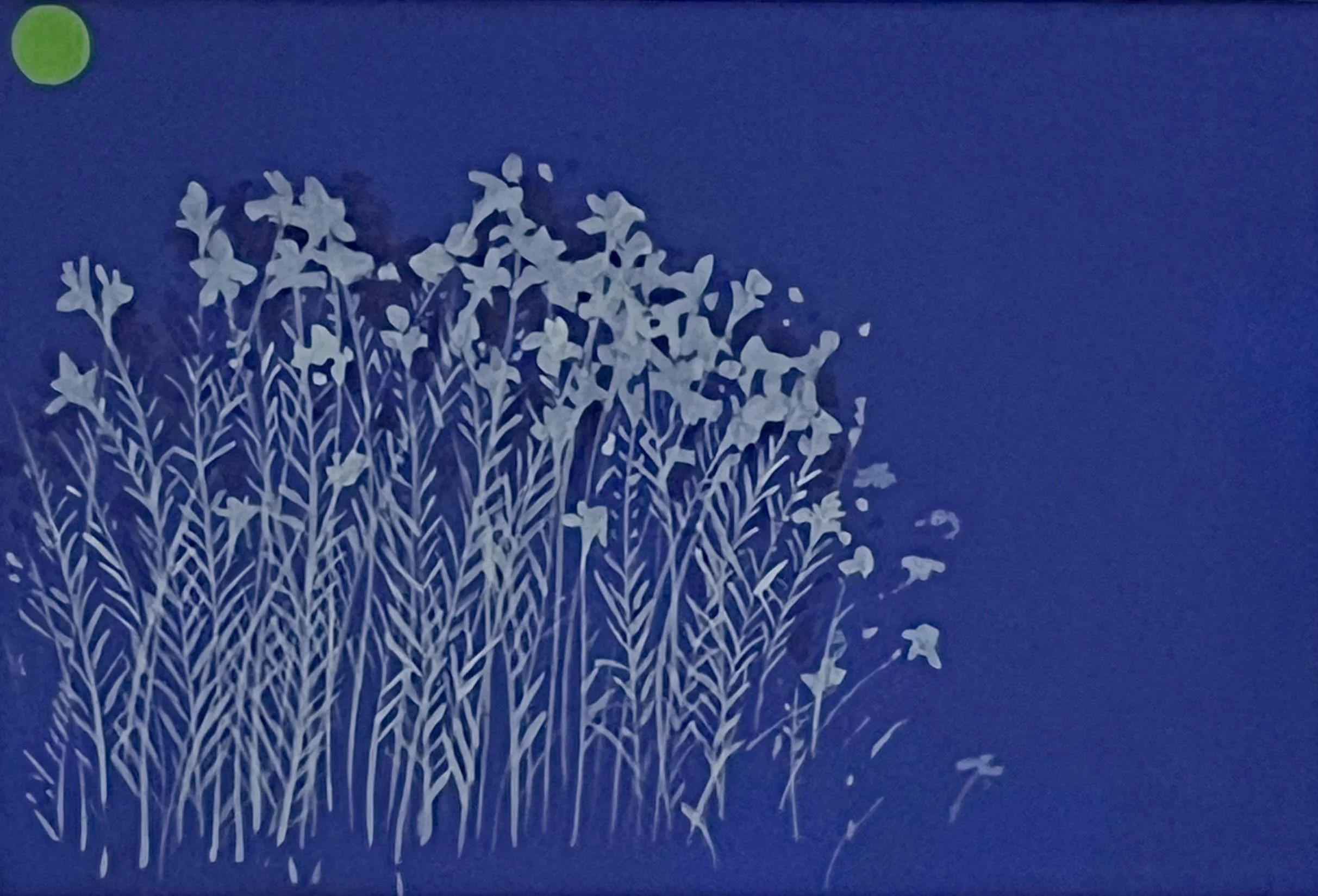  Prairie 
Acrylic on matboard
14 x 18 ½ inches