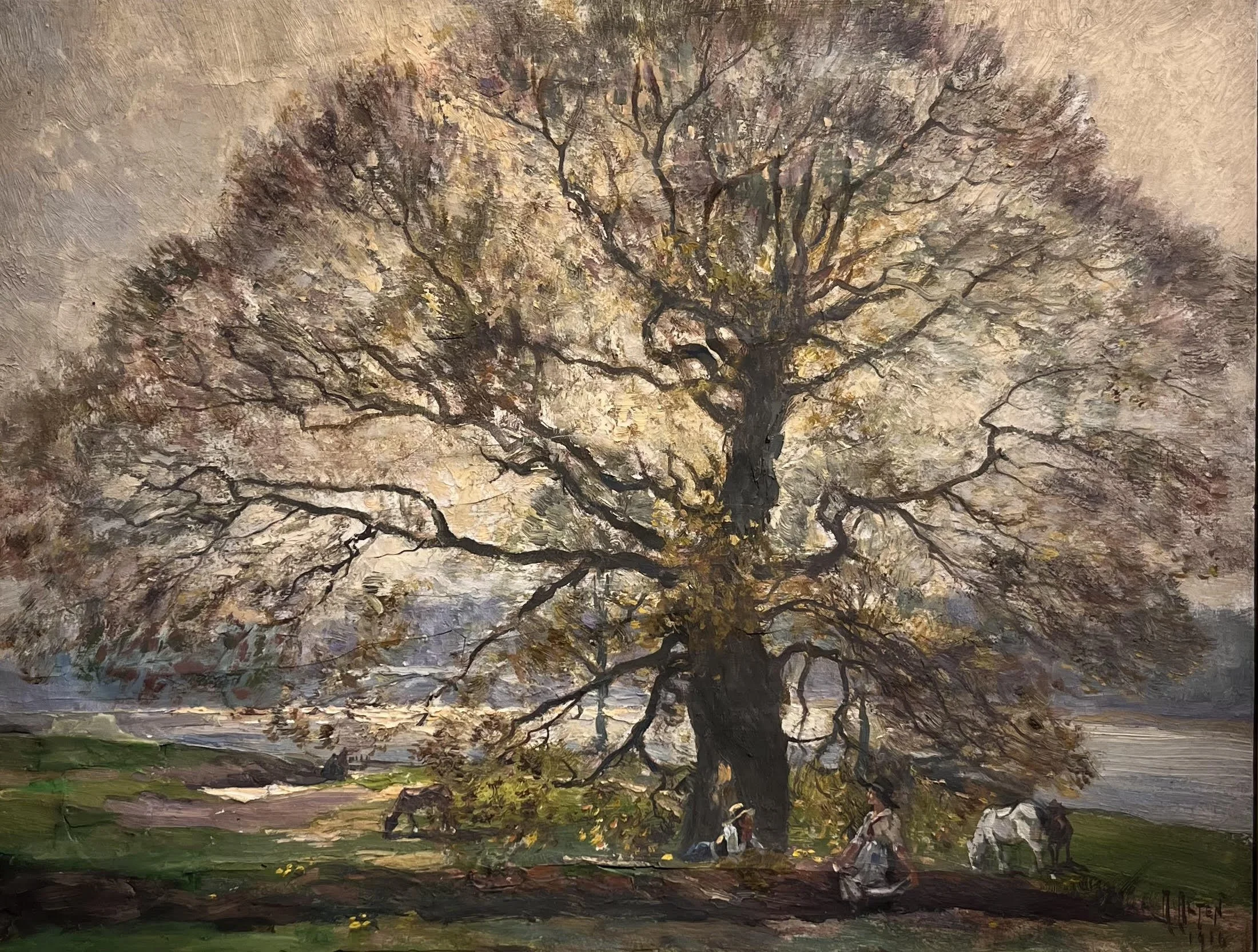  Spreading Tree, 1917 
Oil on Canvas Board
18 x 24 inches